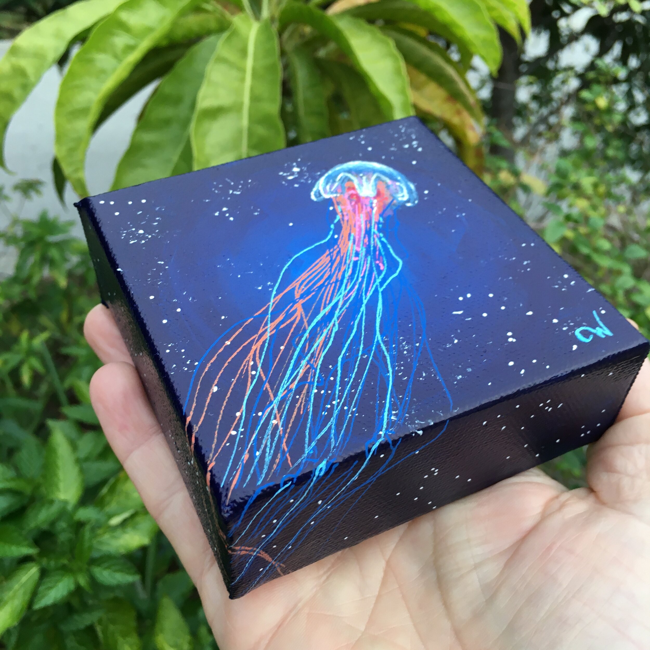 Jellyfish