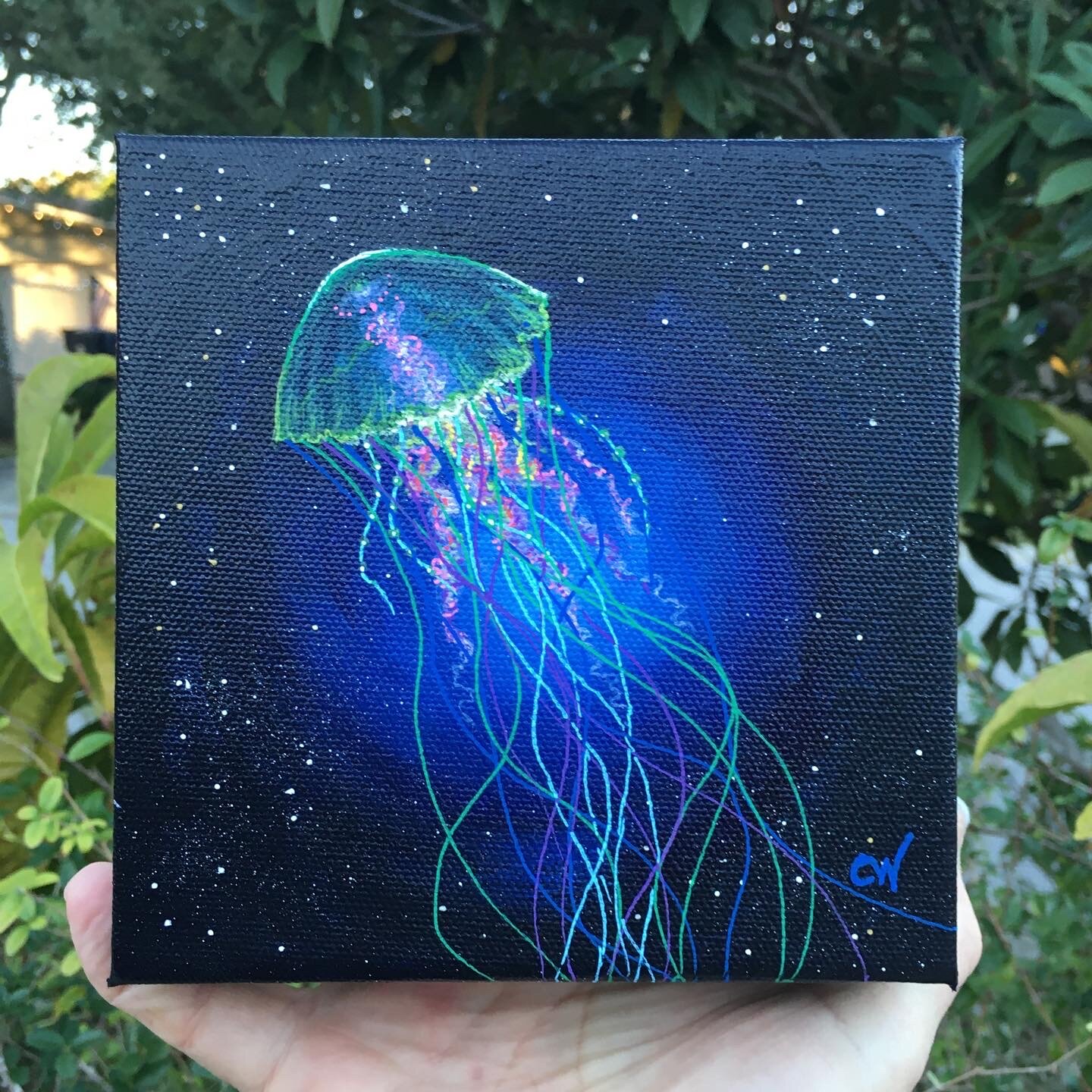 Cosmic Jelly 