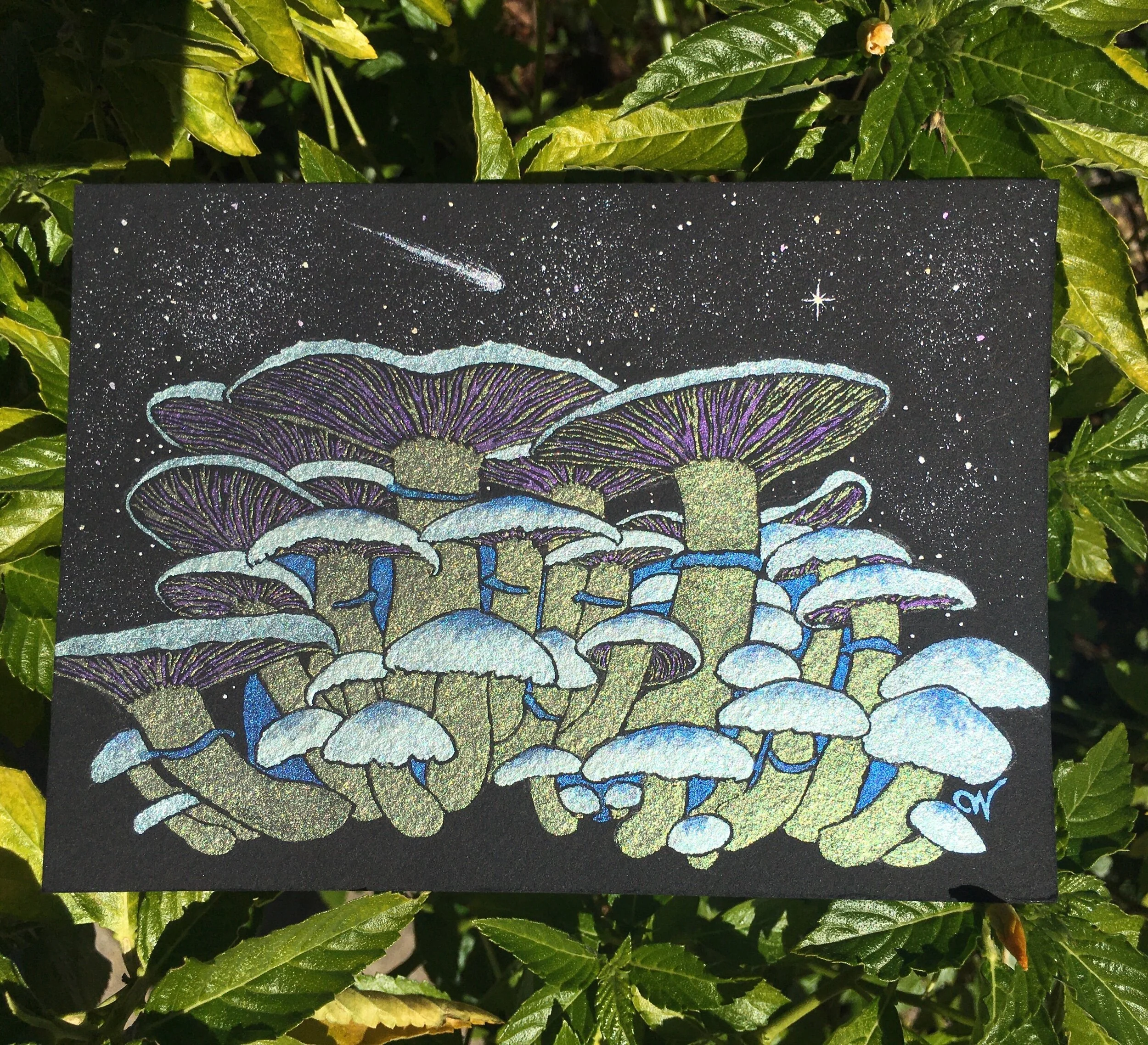 9D9CD80D-84D9-4B91-95AD-4FF5C2DB62F4