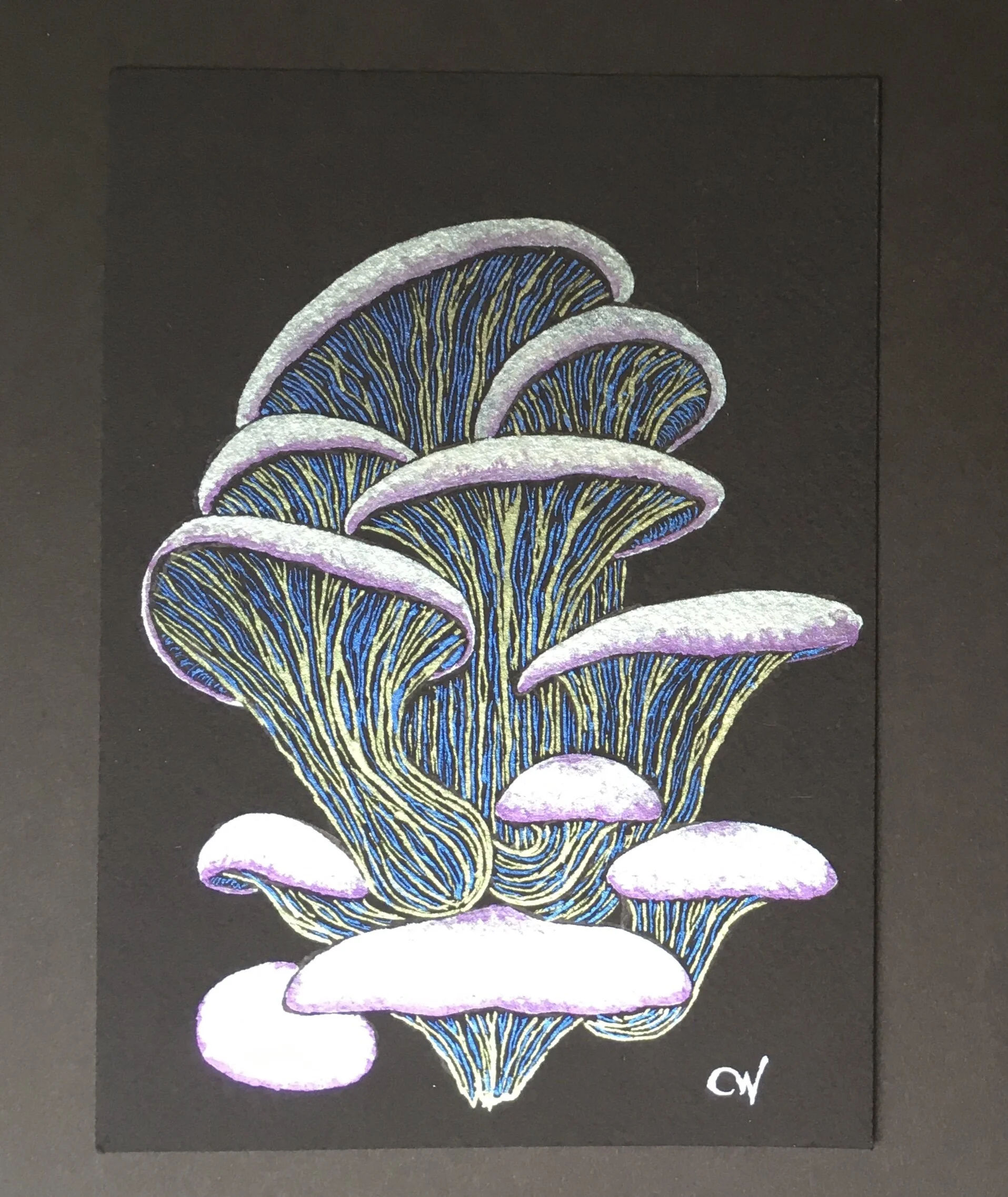 E8B82BB5-0CB6-4718-B6D8-1AA3DFA90514