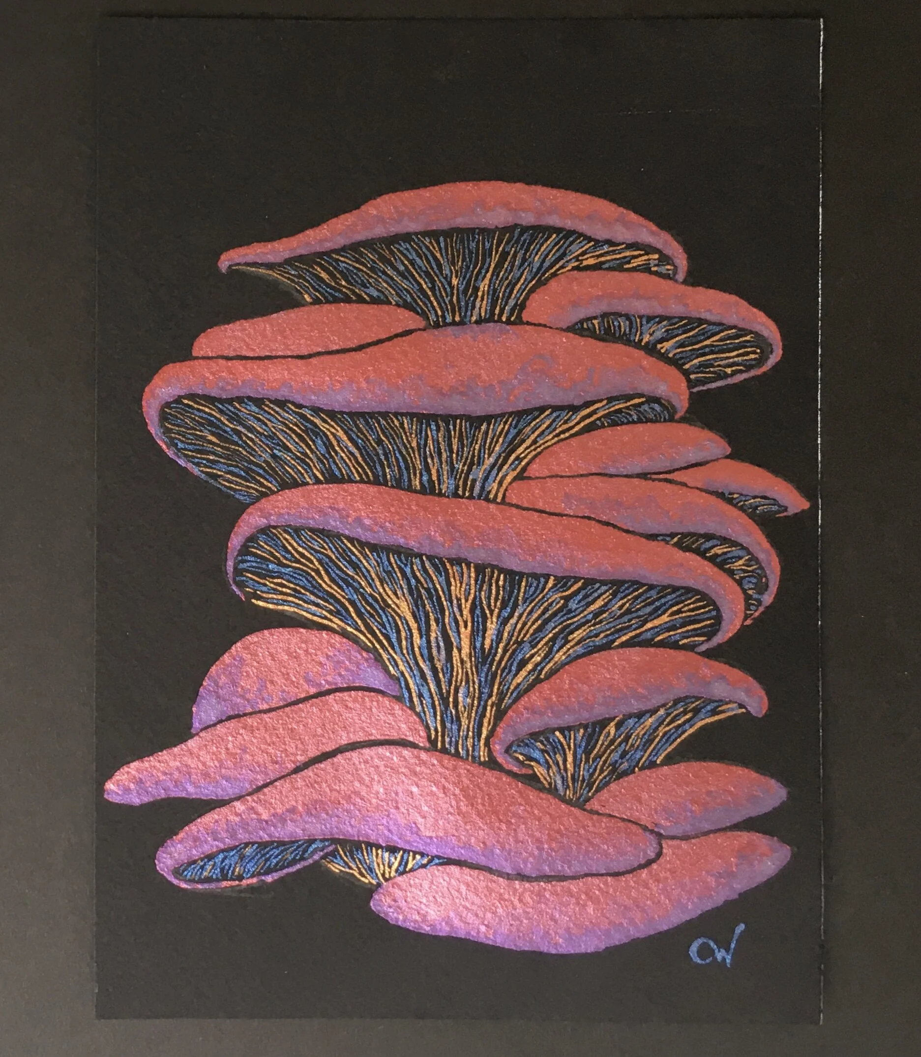 E08367BF-AA8D-4A89-B0C8-EC7E898C86C7