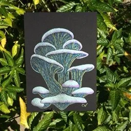 FF96C122-3CC1-45DD-9DD5-3EDEED952334