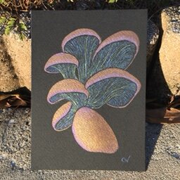 74F6A041-C5DF-45D8-ACA6-C04260A3A88D