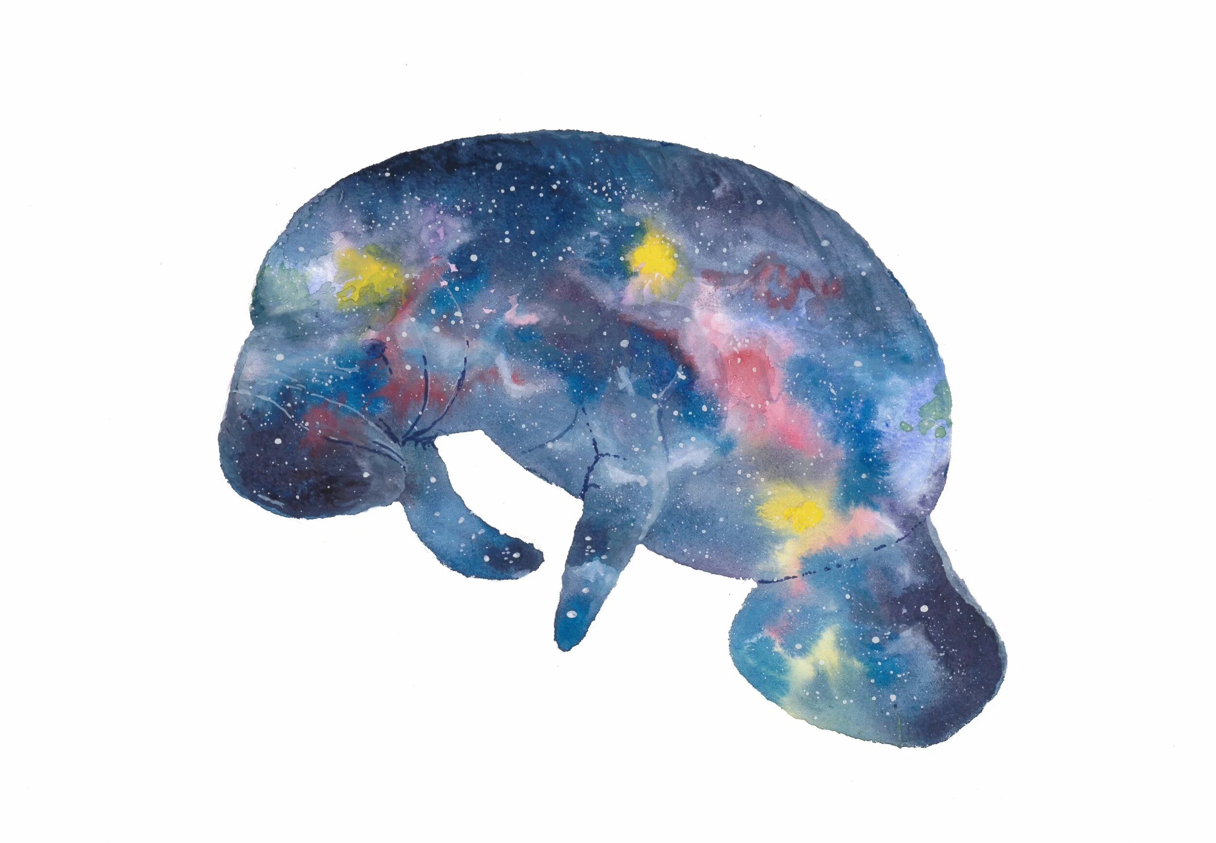 All In One Note Cards