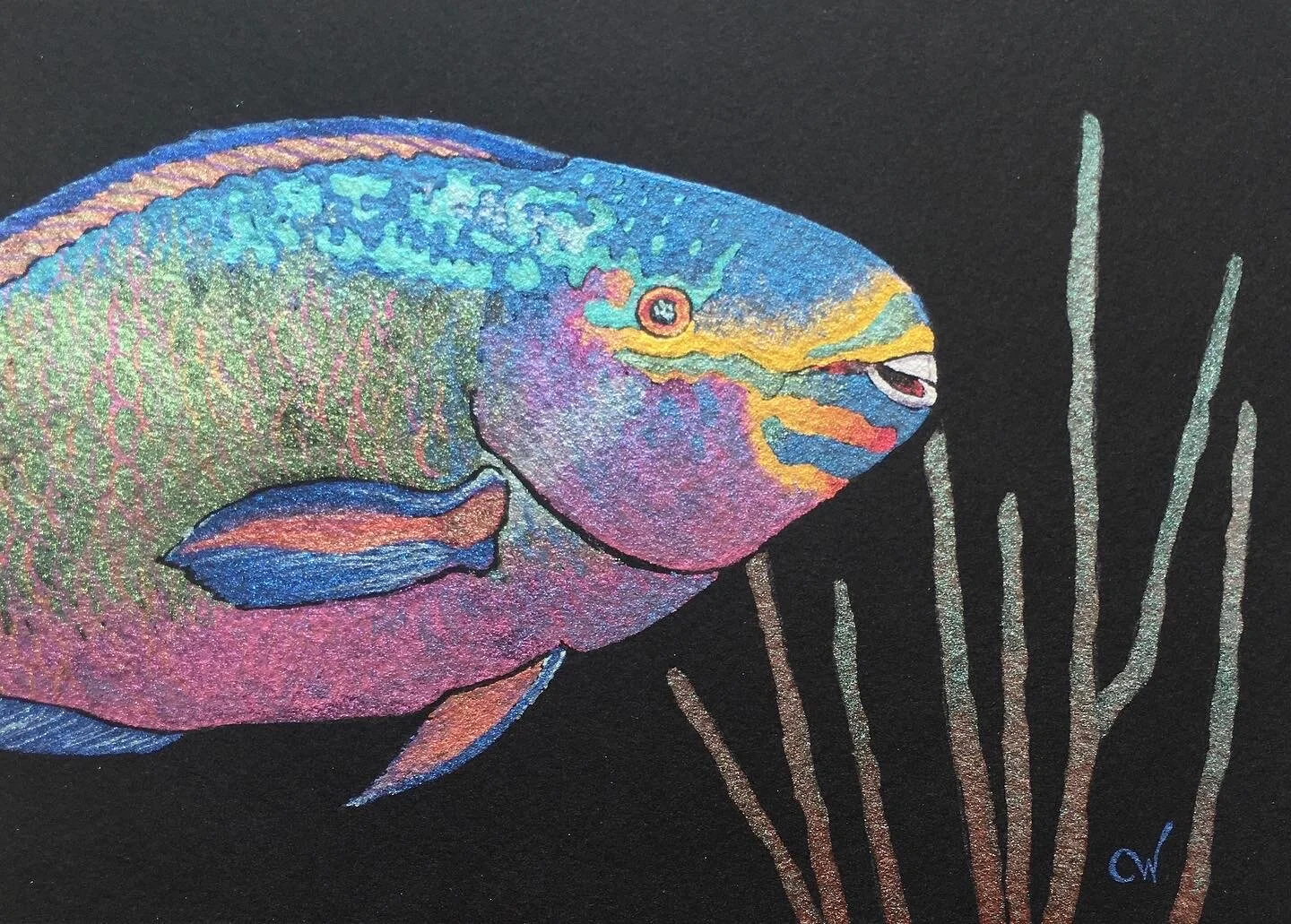 47C70E61-D1D8-49FE-9355-4D4901569066