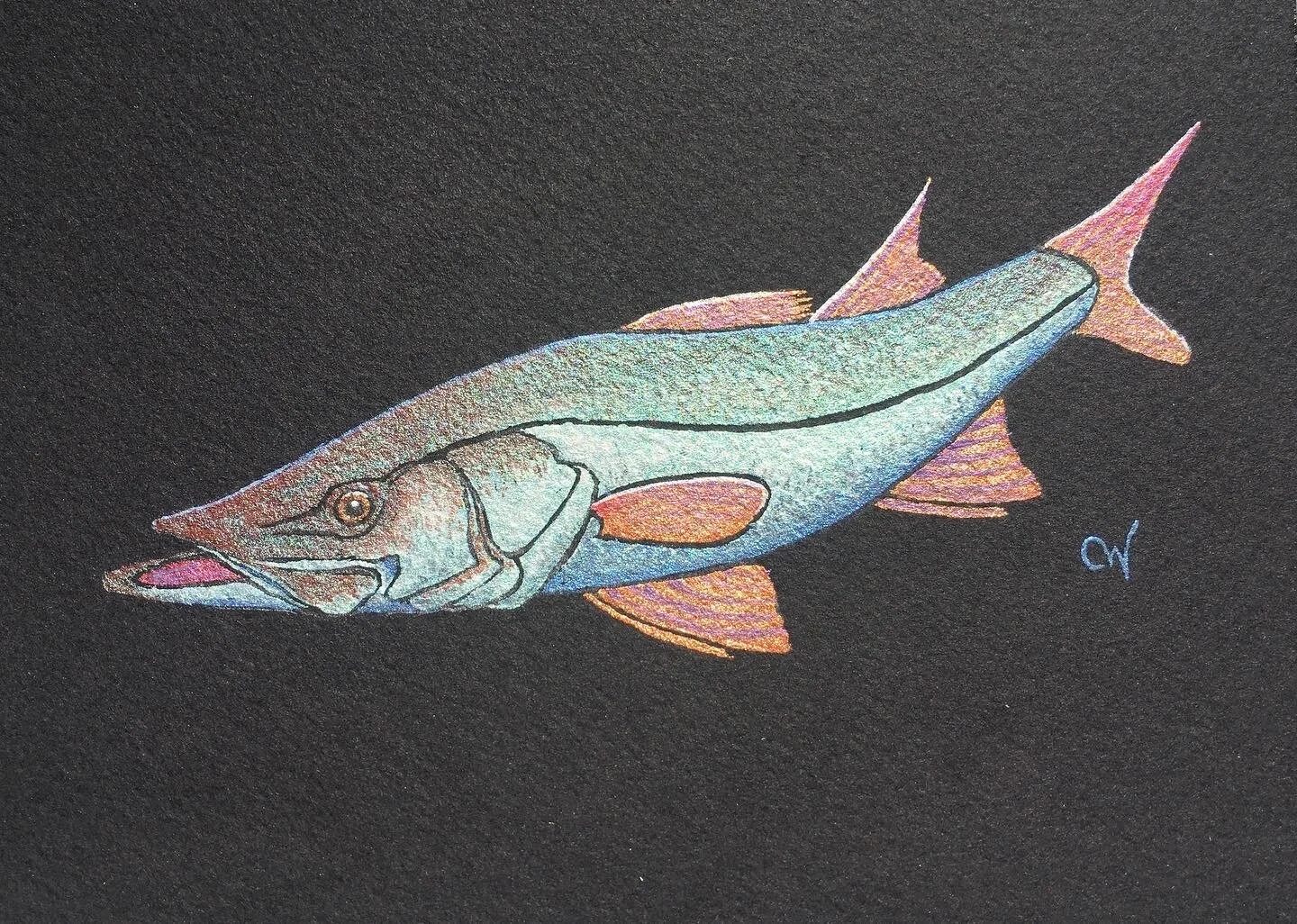 135EBC70-C40E-41C3-A190-B535C25CAAAE