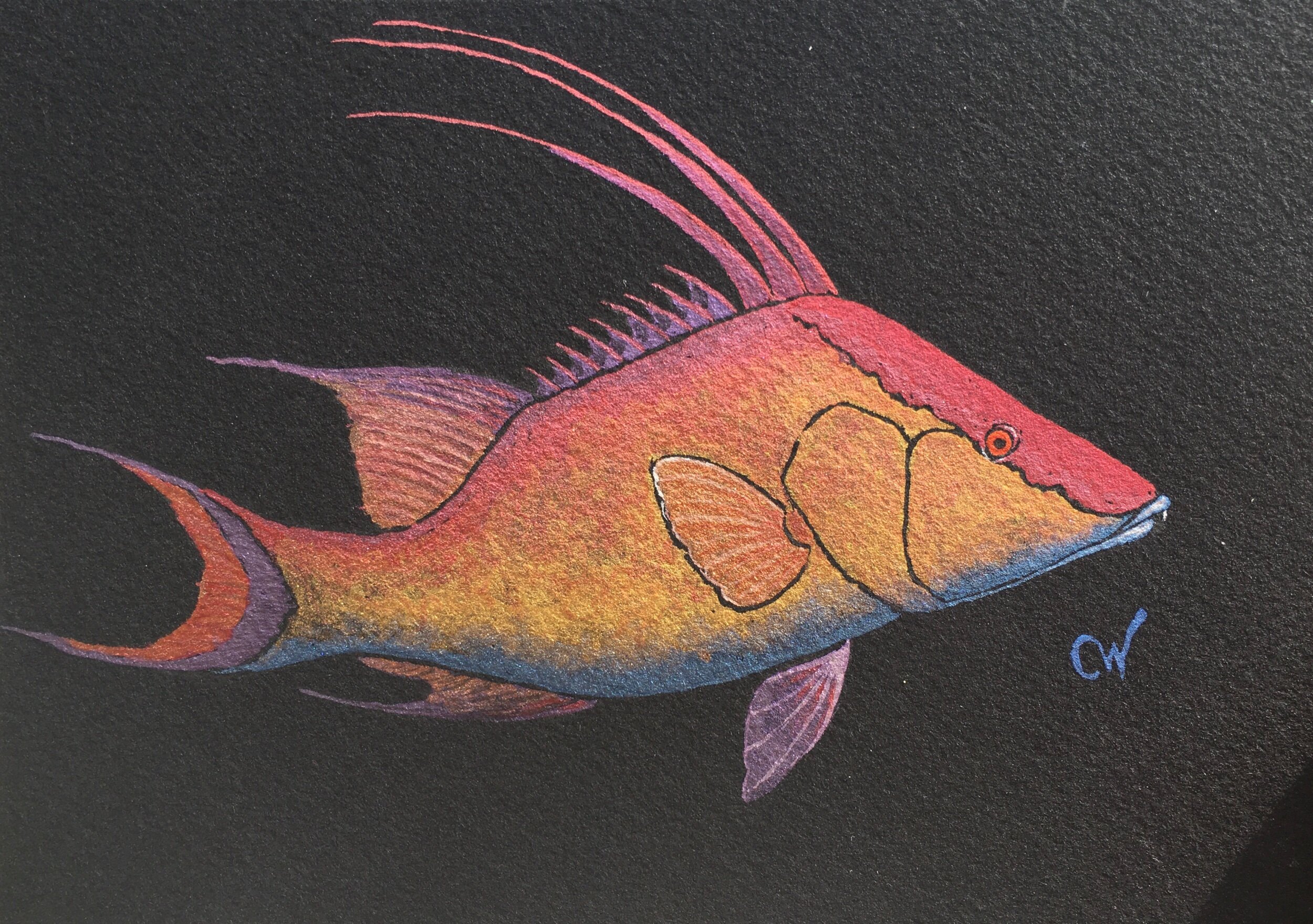 1F31FD36-9C30-4AF8-BC15-1A6BFD5E3CDE