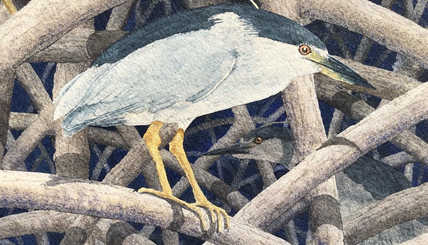 FDC1EFE4-AB3F-43BC-A6A4-30E52A5568C7