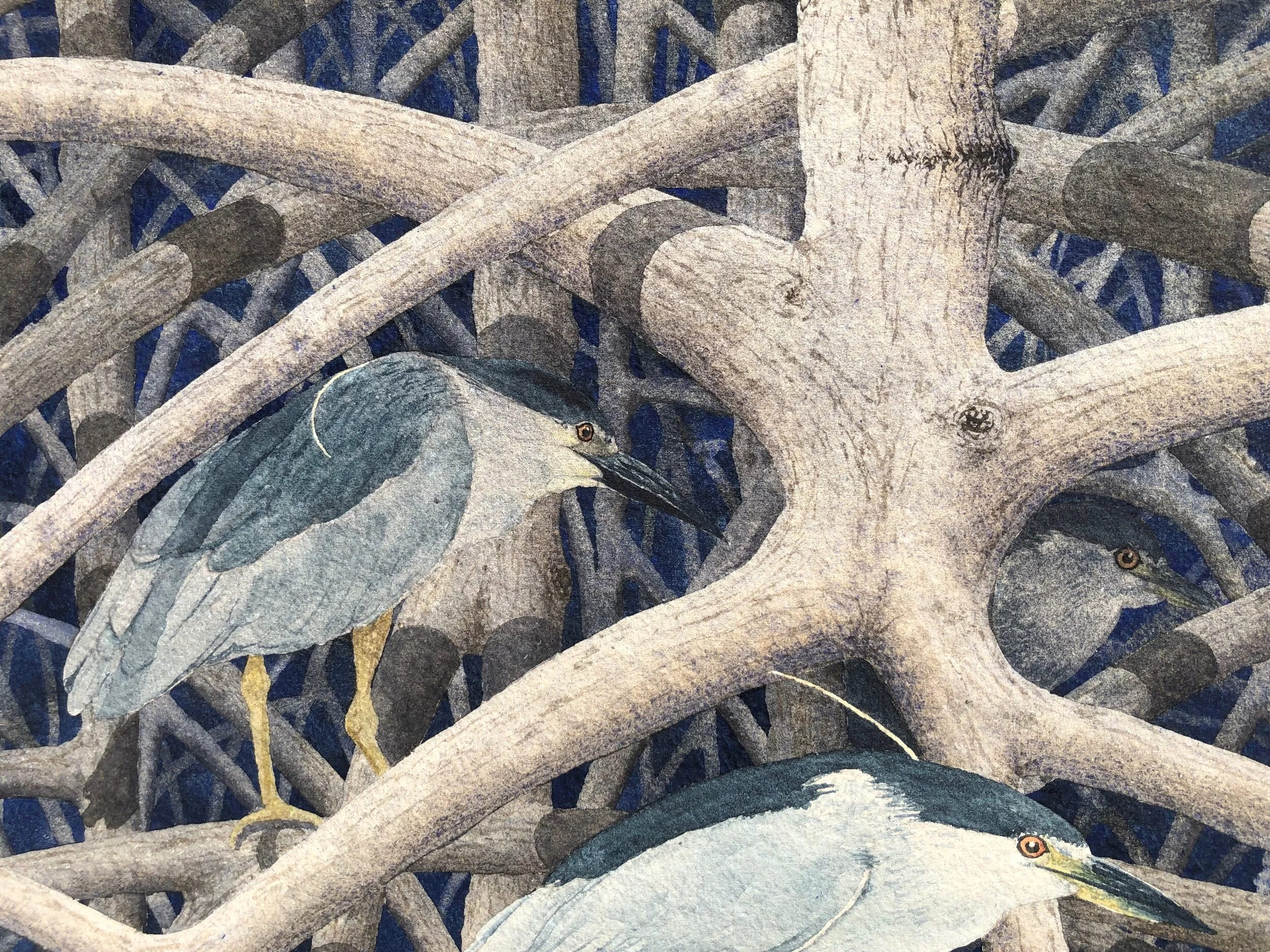 BFCE15DC-71A6-4A69-9BF6-78E0B6F34922