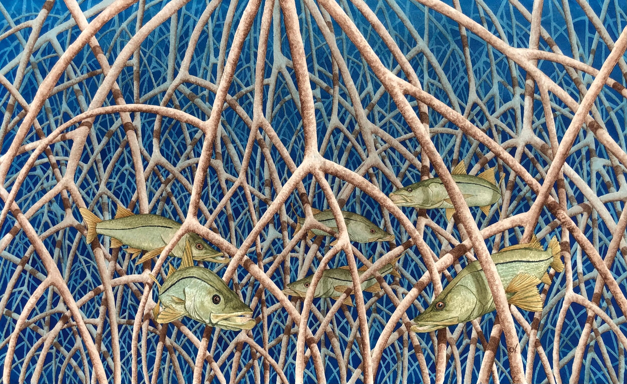 70013147-005B-4034-8688-4C75191FA54A