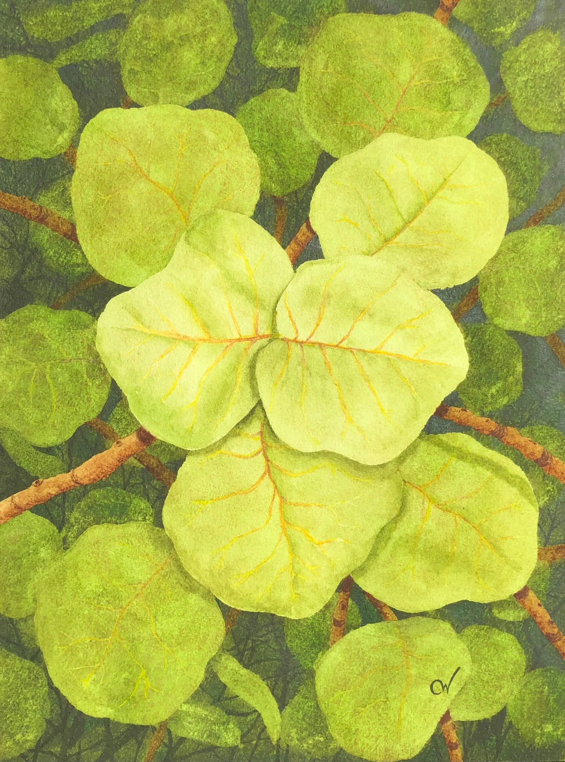 94E2E817-E232-48C2-95C3-5FB6251682AA