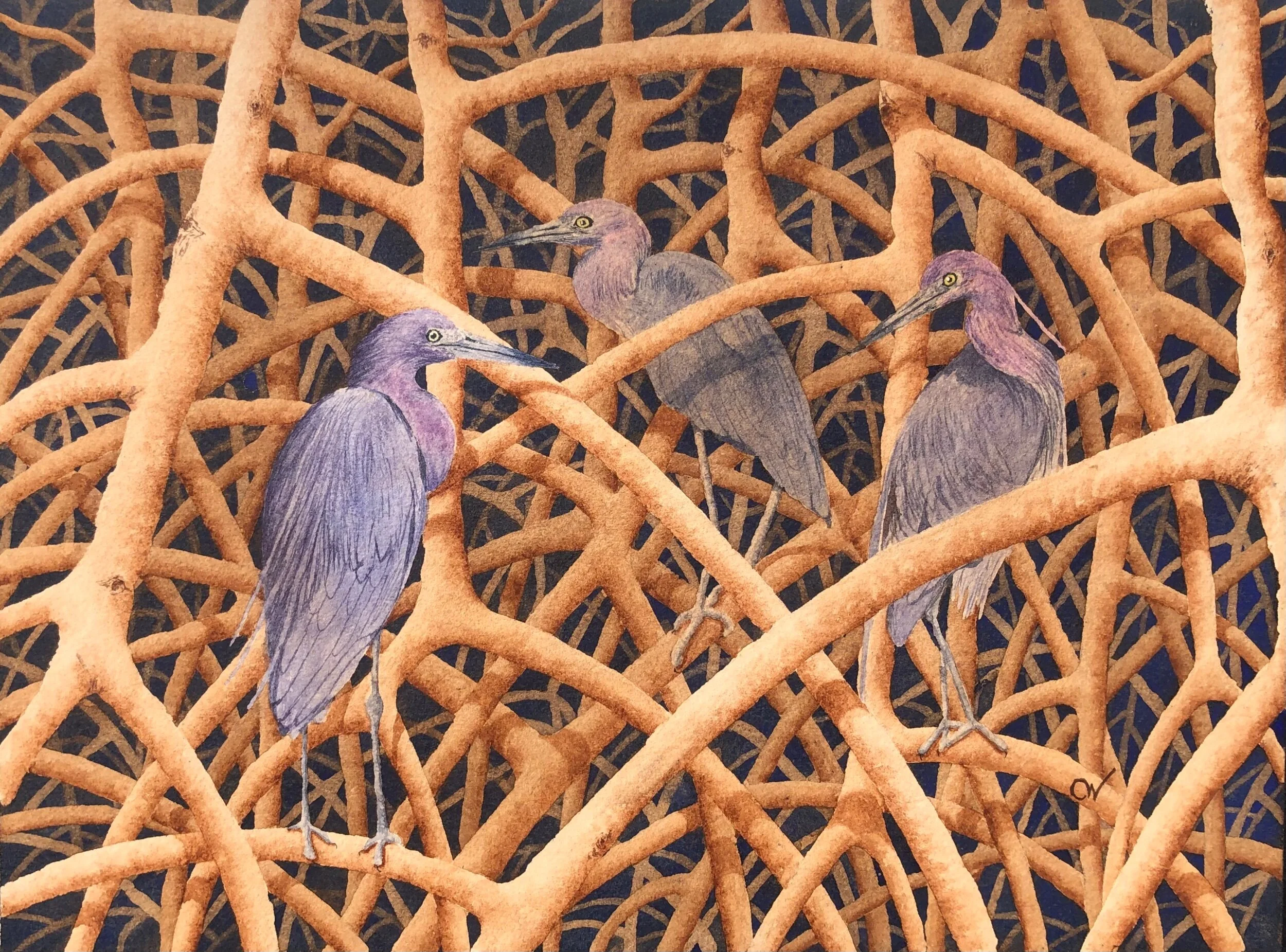 A1D3FA75-5034-42B5-B9B9-104140B13963