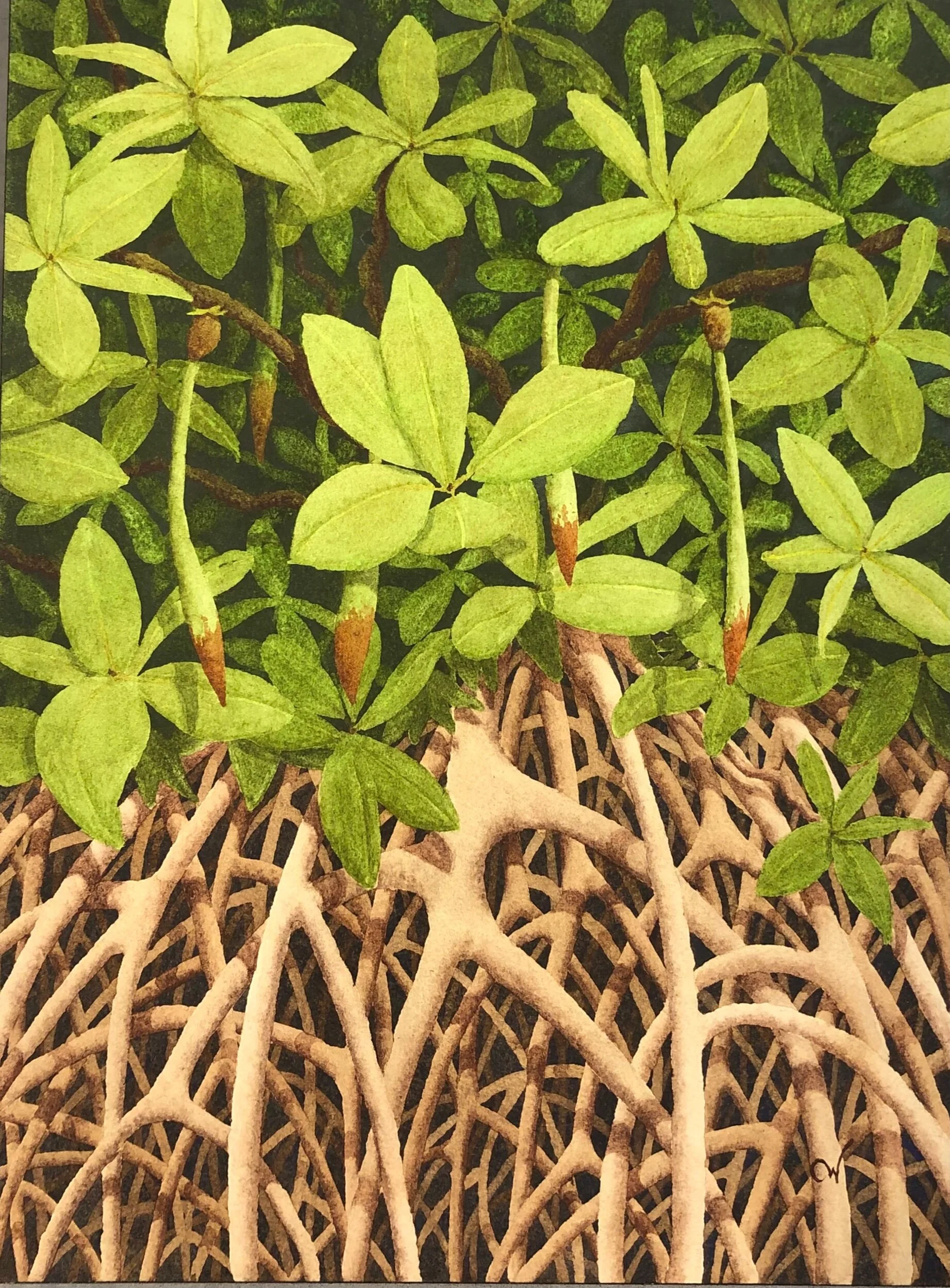 E3797763-FA7F-4A2C-ABE9-75C82DE07171