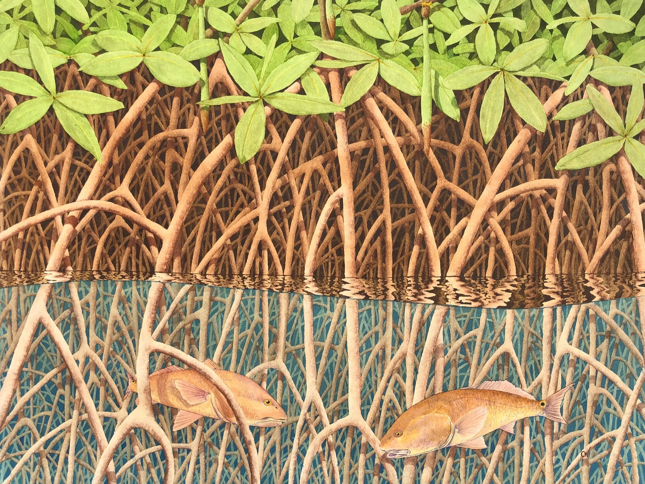 F6B74621-78BE-4490-95FE-16AE9D9BD10E