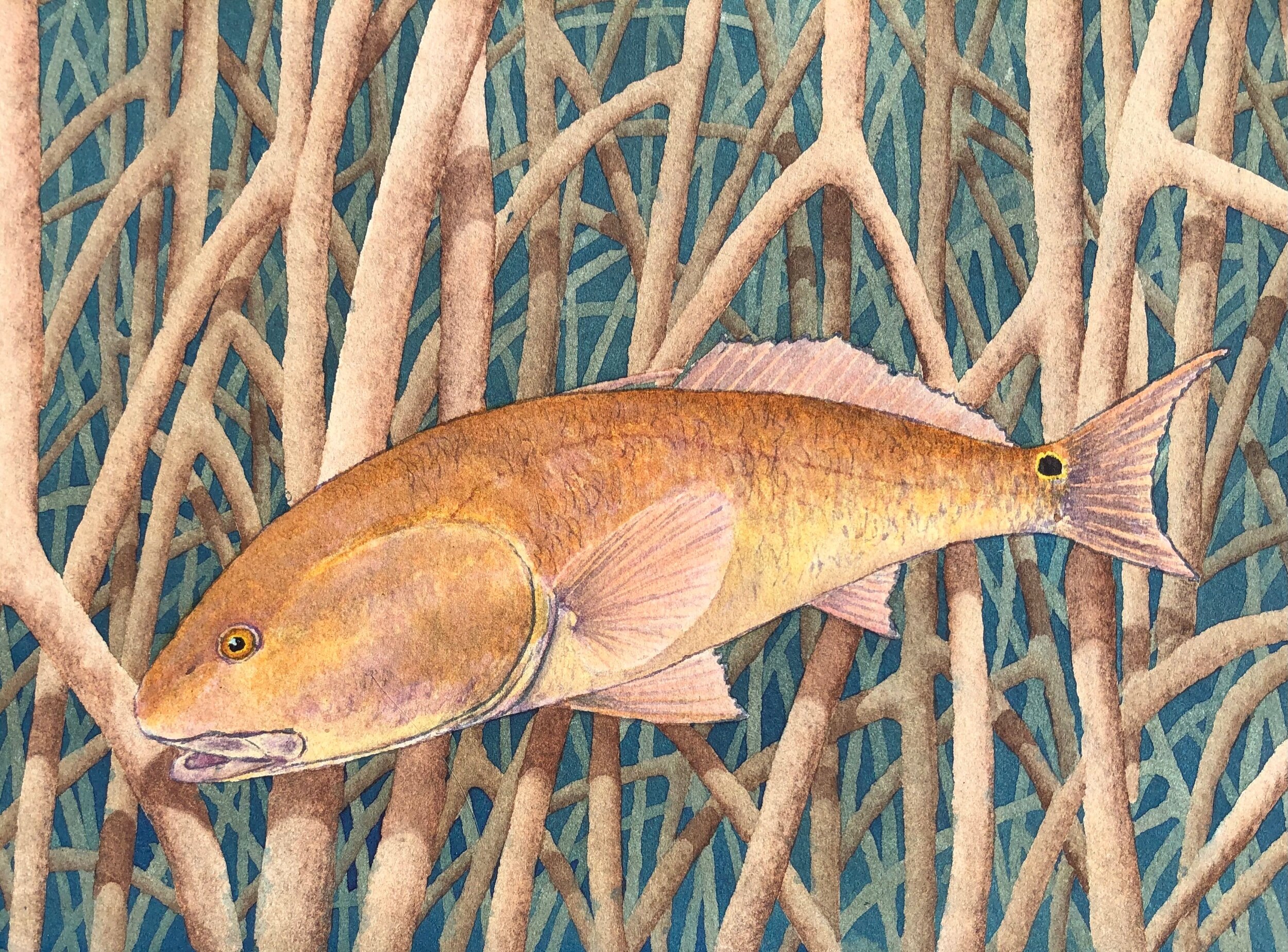 E1041387-4302-47B4-A8AE-0B581D4FD1BF