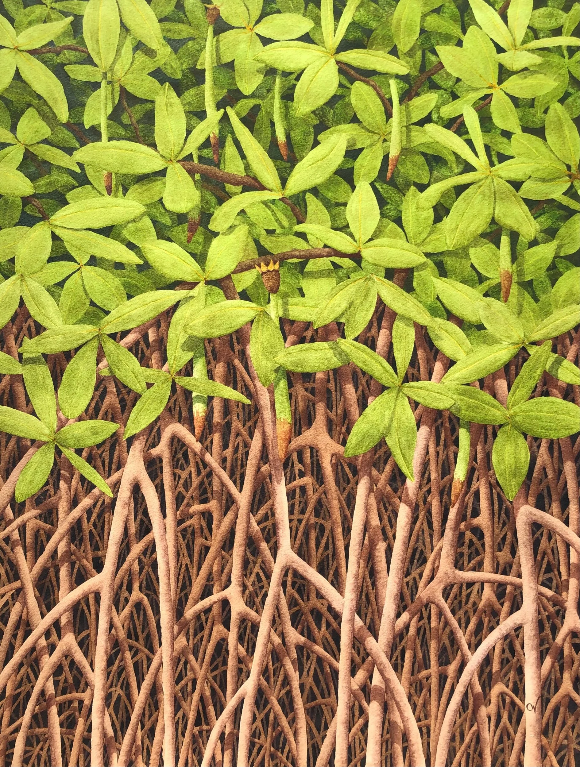 CD69DFCC-7BA5-4977-907C-3AFD5284287A