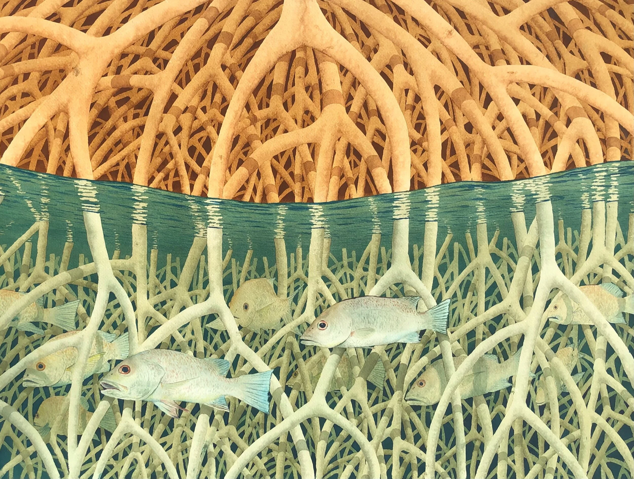 F30CFBC2-7BA3-4125-9A67-47240EE3A4CD