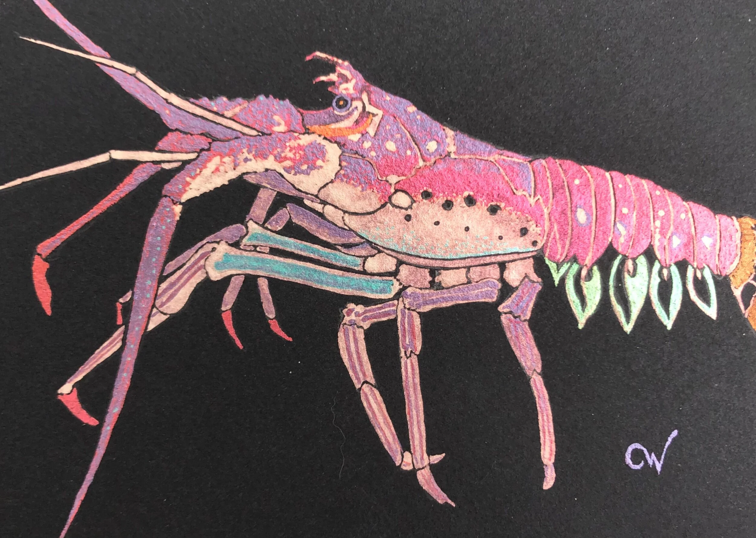 8074C75F-7363-4CFB-B405-3FB0515AA797