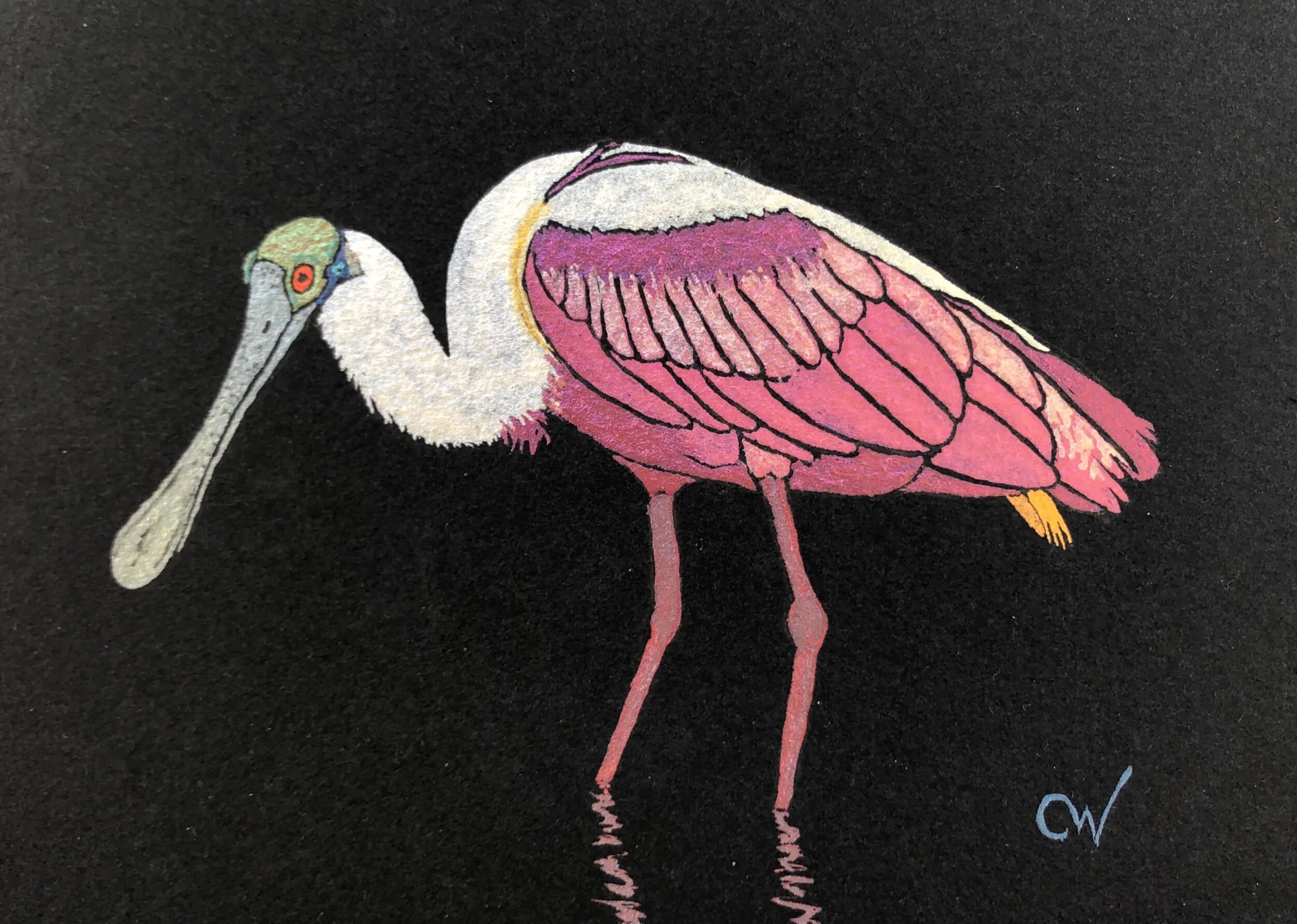 A598C567-F7BA-46C8-BD3C-67A264B607F4