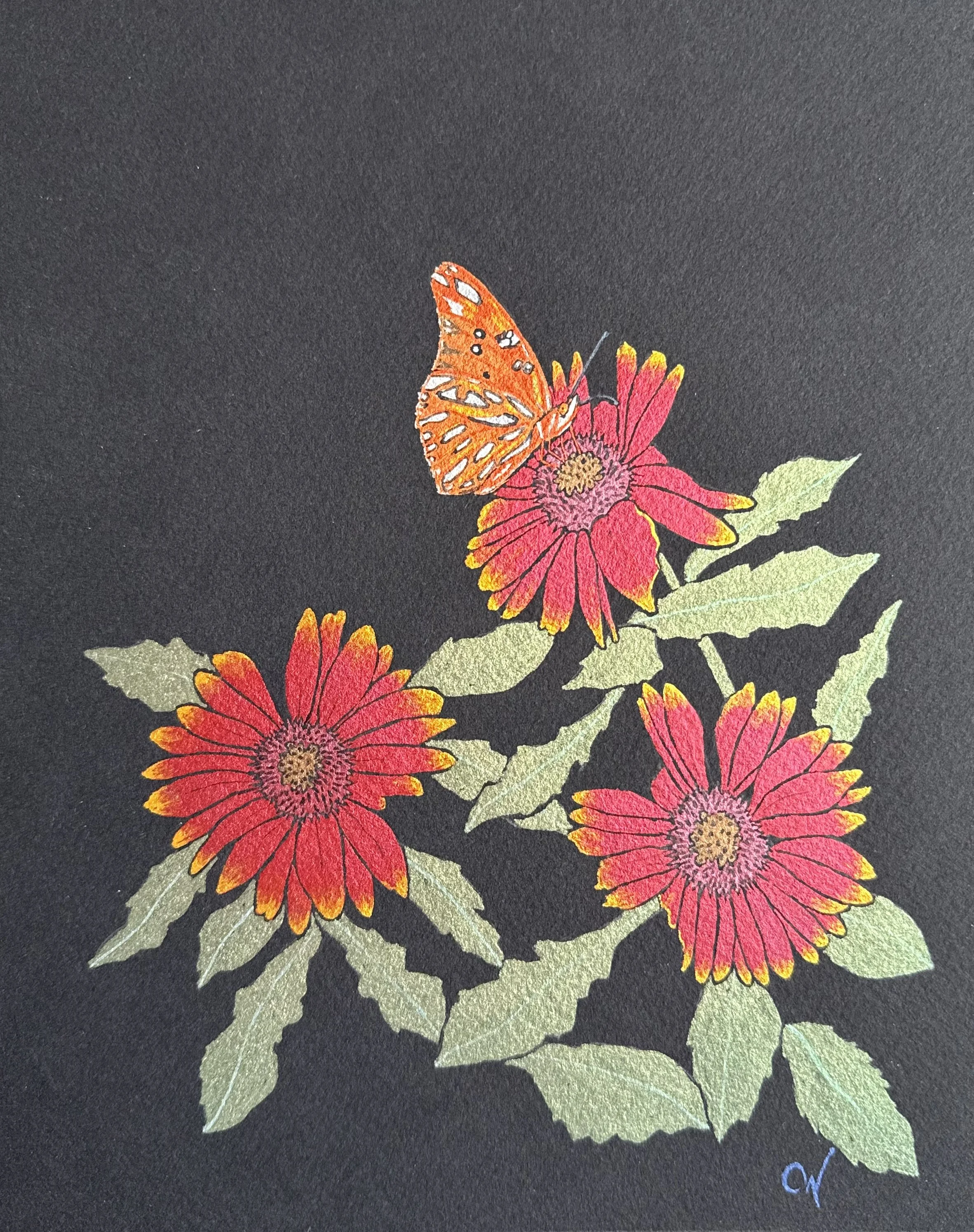 Fritillary with Blanketflower