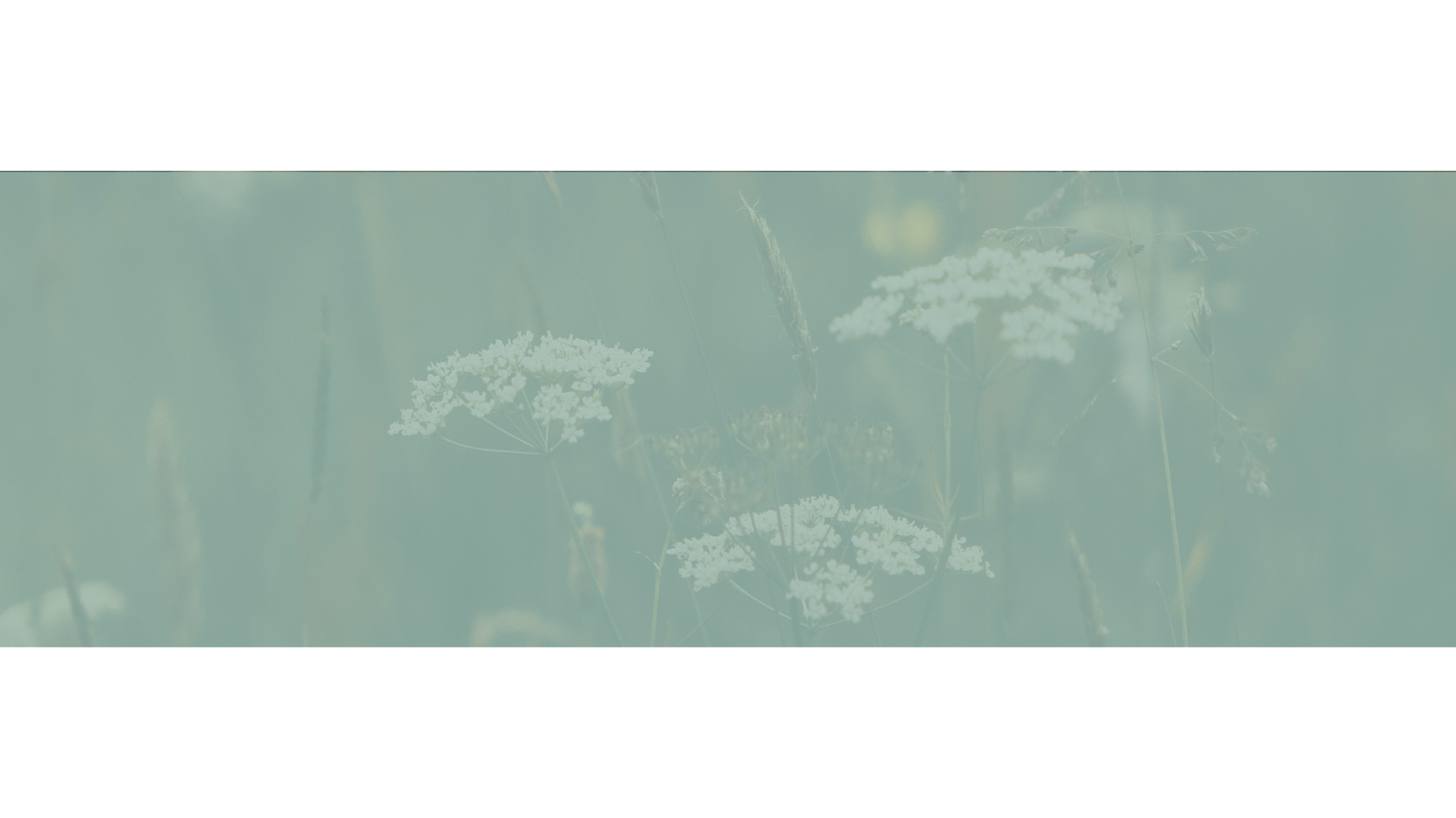 Courtney Jepson, LCSW