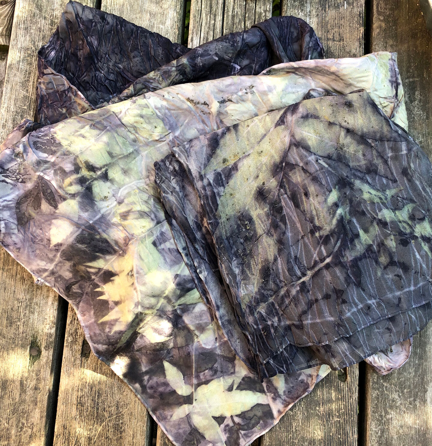 Staghorn Sumac — Dye Lab