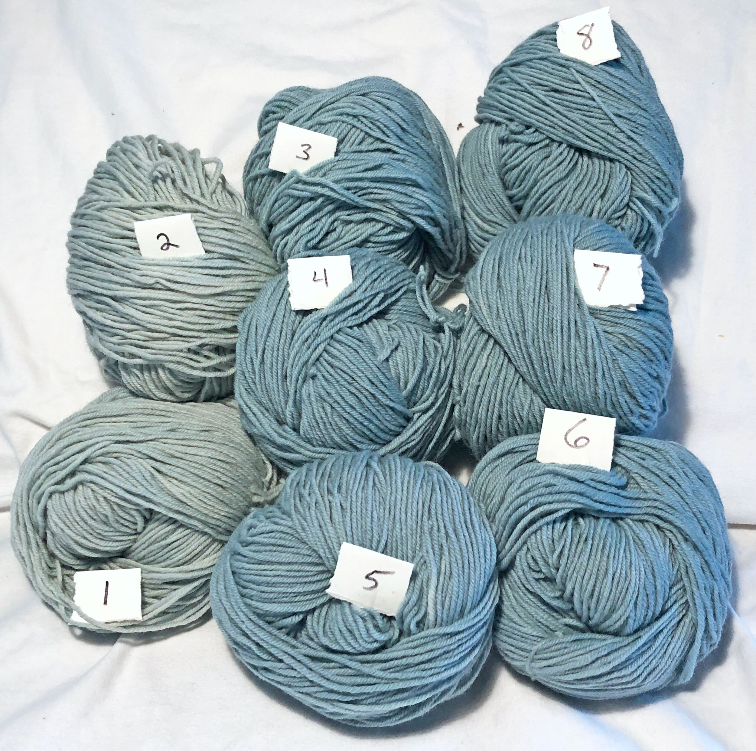 Worsted-web.jpeg
