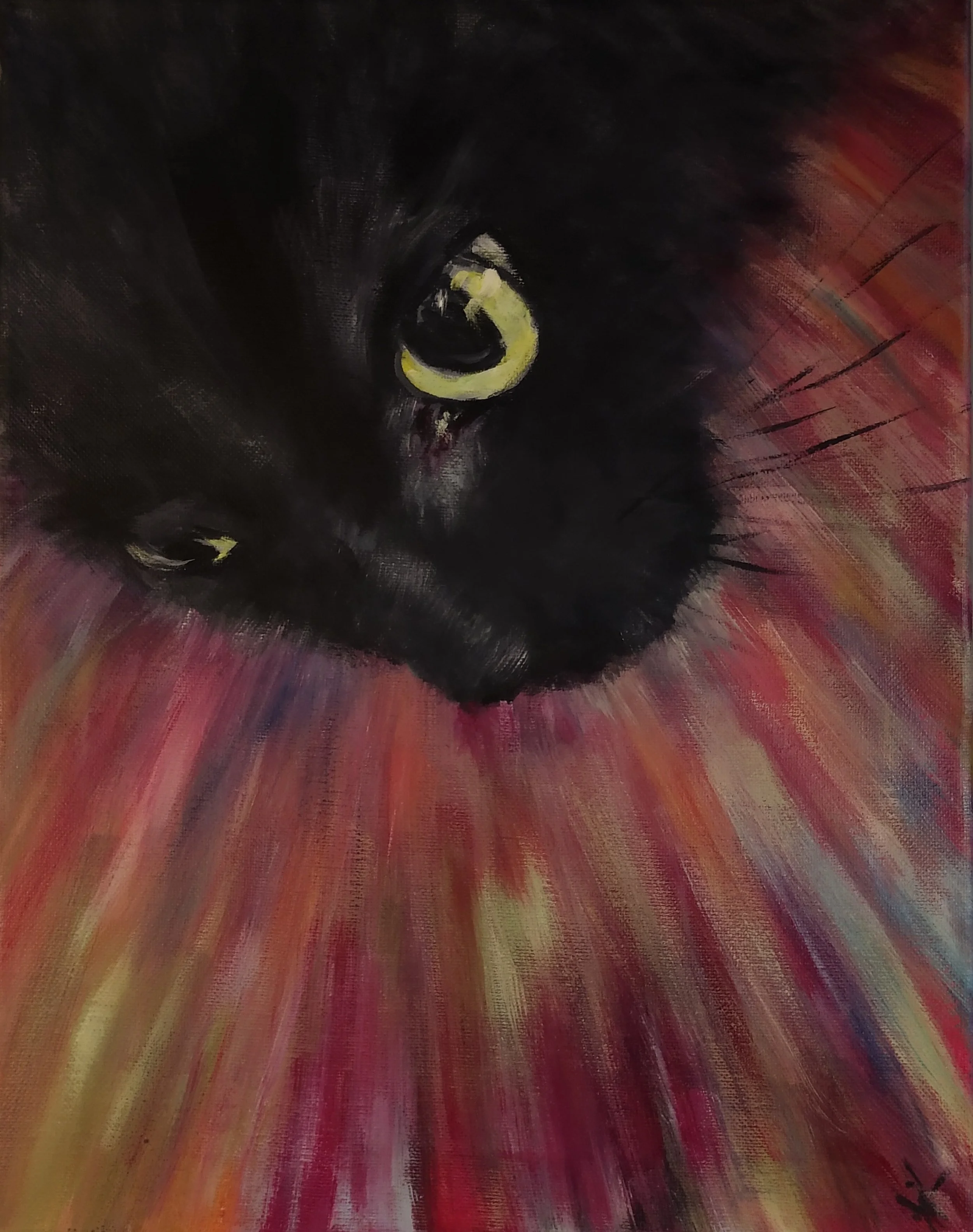 “Reflections - Past &amp; Present”