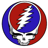 grateful-dead-logo-lightning-skull.jpg