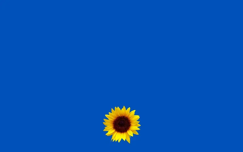 Kansas.jpg