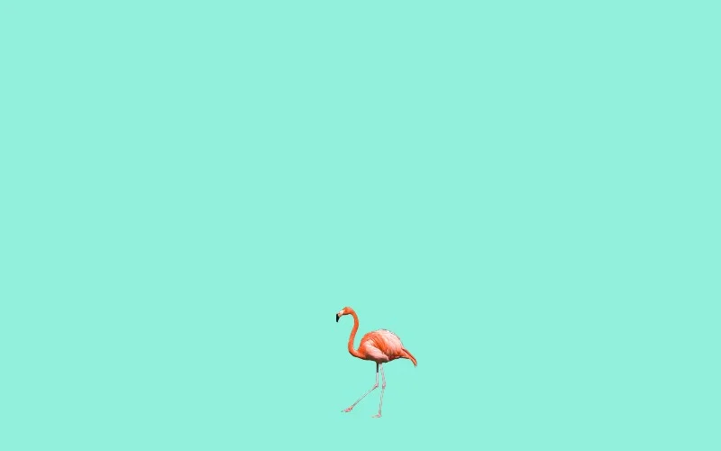 Miami, Florida.jpg