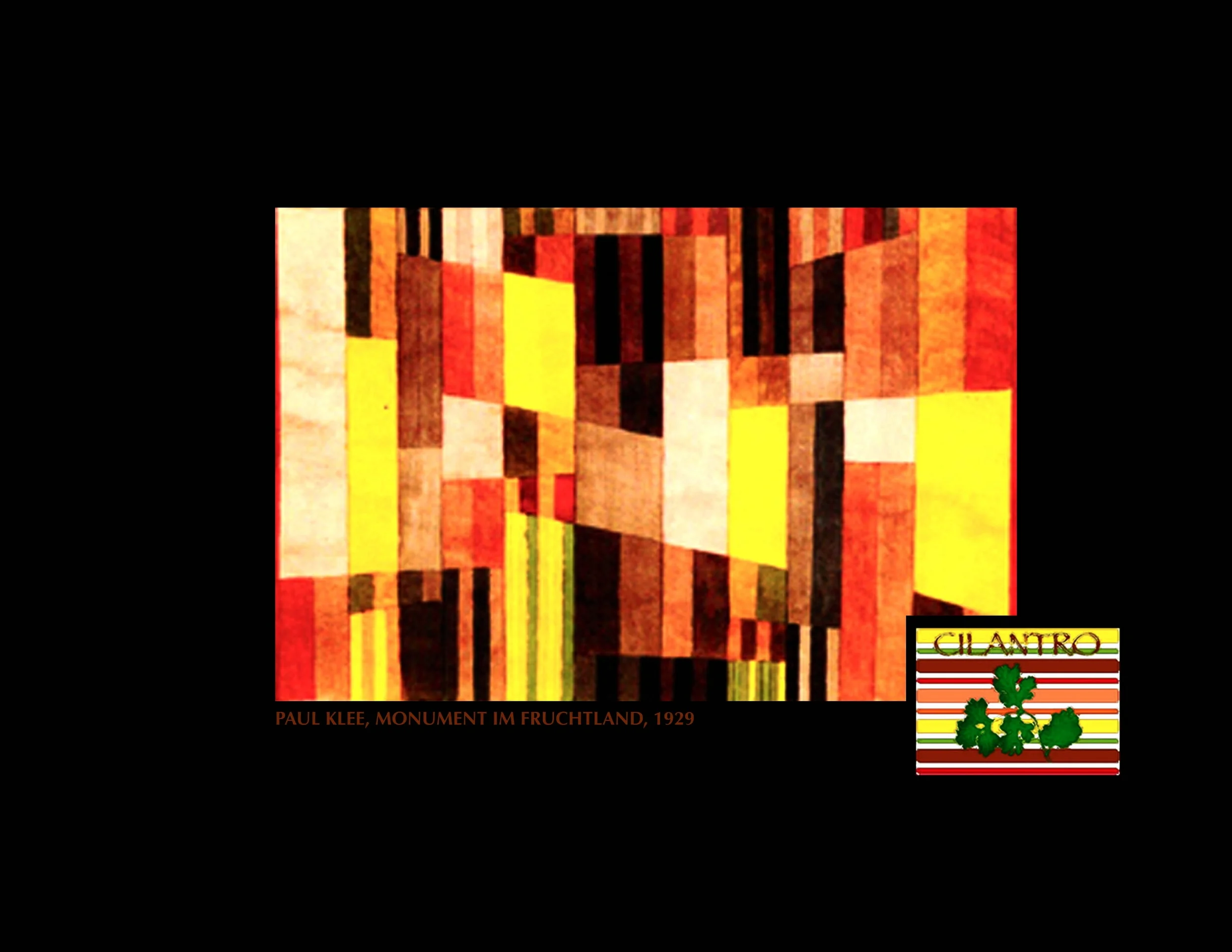 29-CILANTRO p1 2.jpg