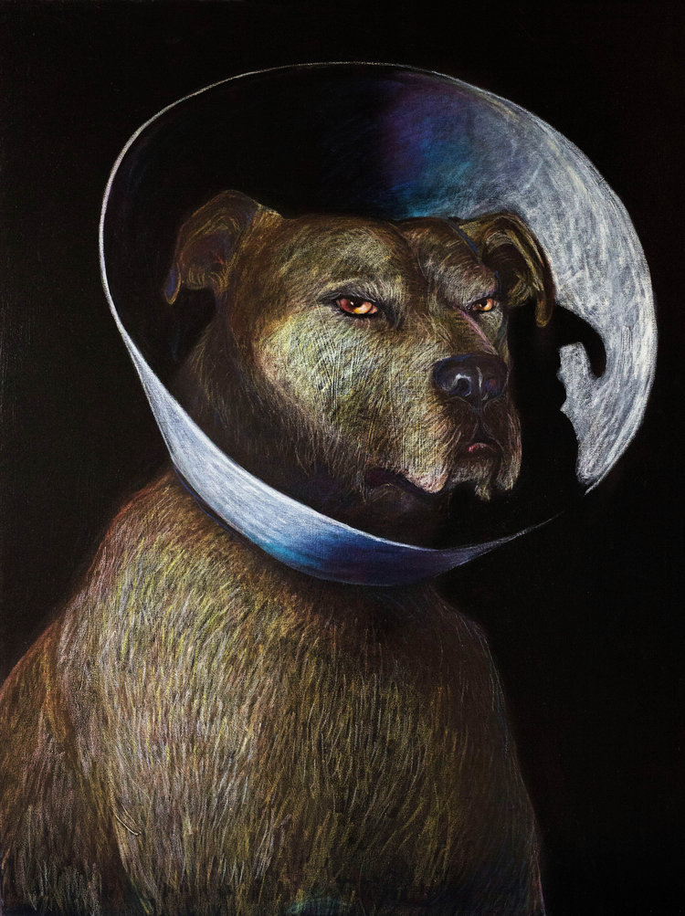 Elizabethan Collar