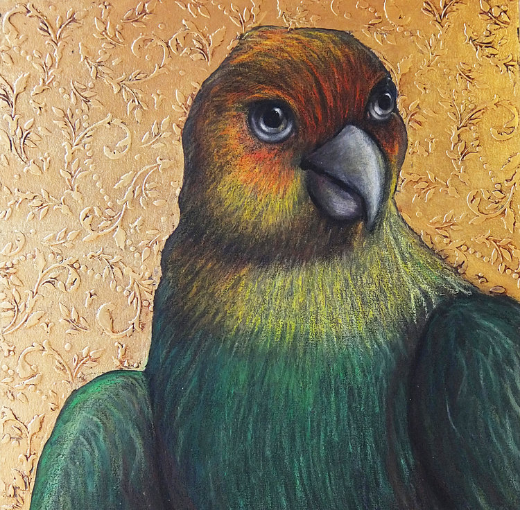 Carolina Parakeet