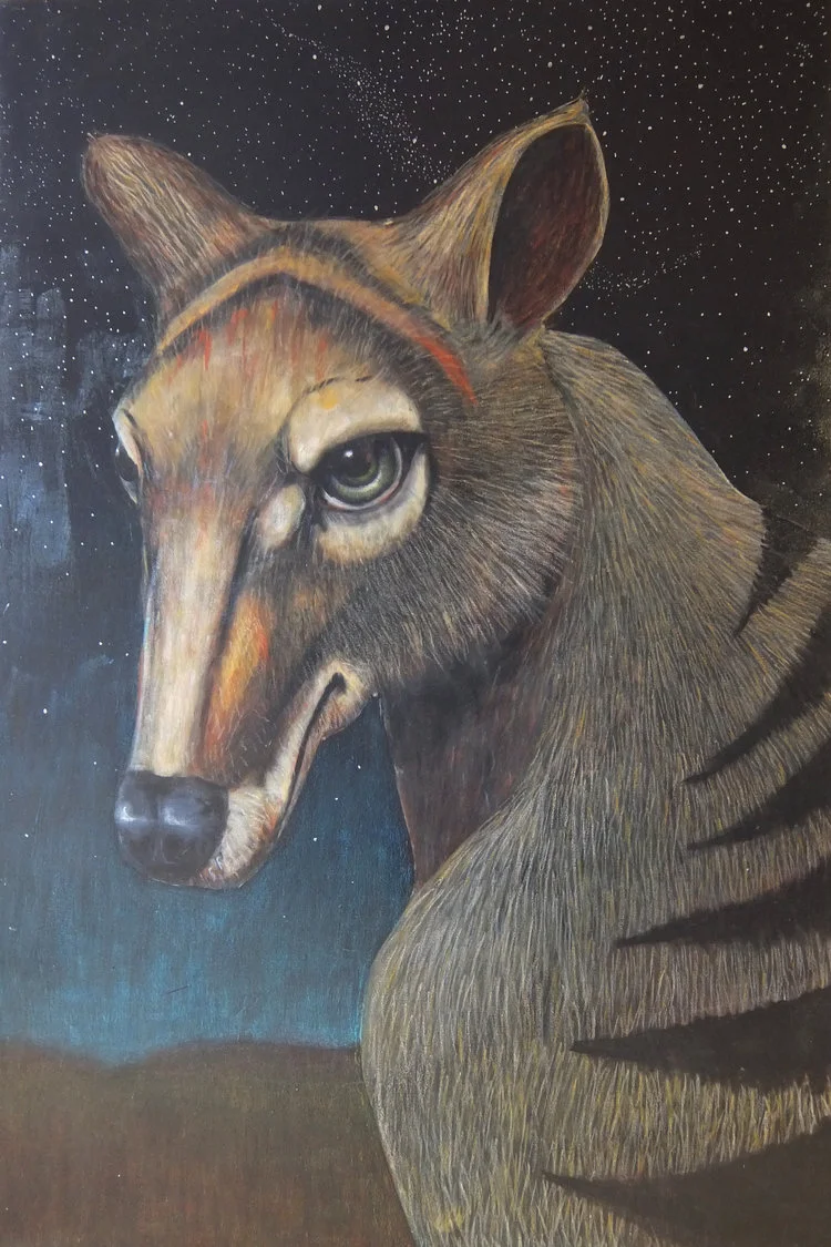 Benjamin; The Last Tasmanian Tiger