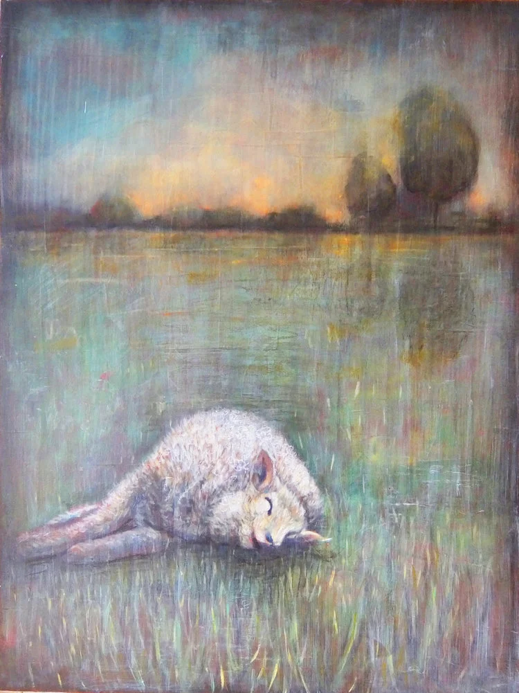 Sheep Asleep
