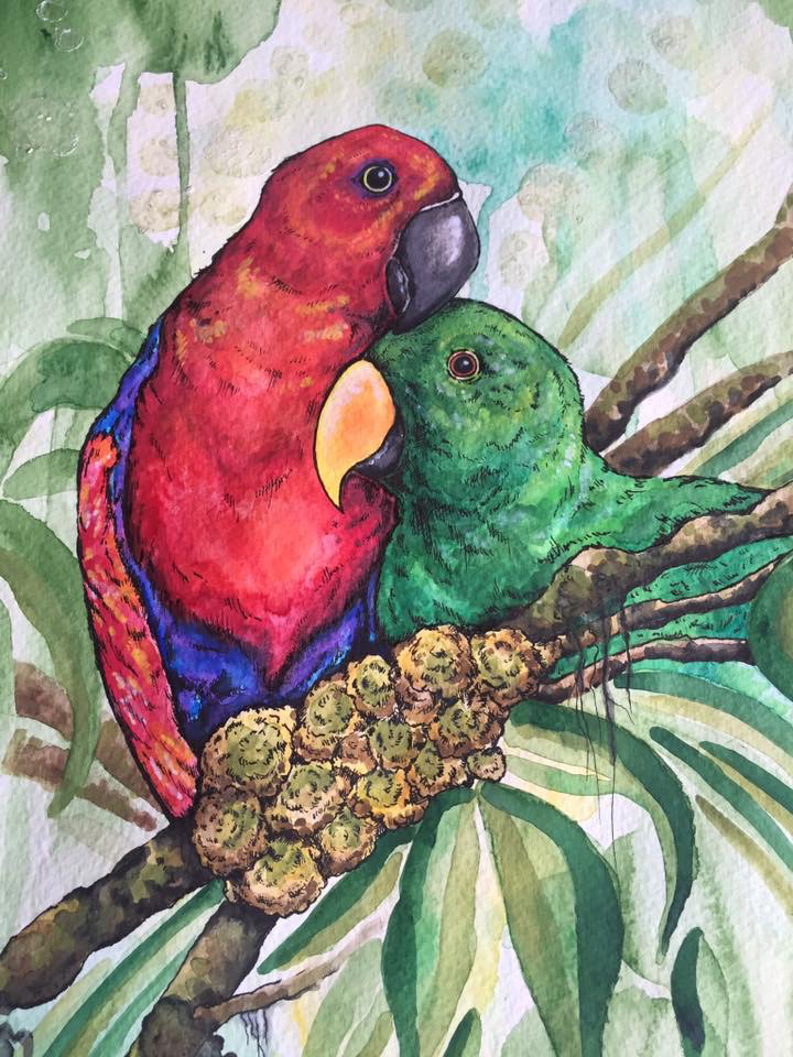 Parrots.jpg