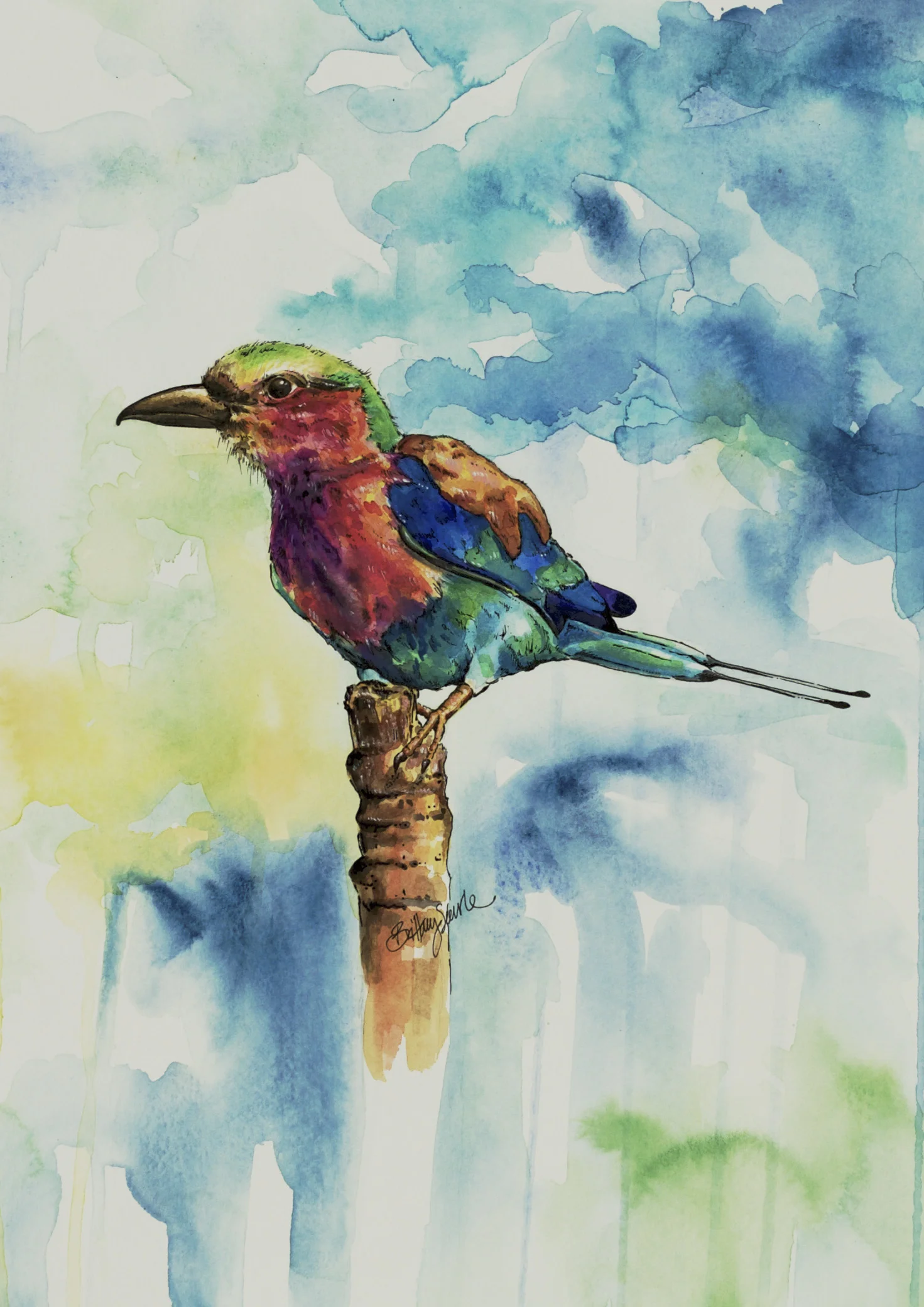 Bird1.jpg