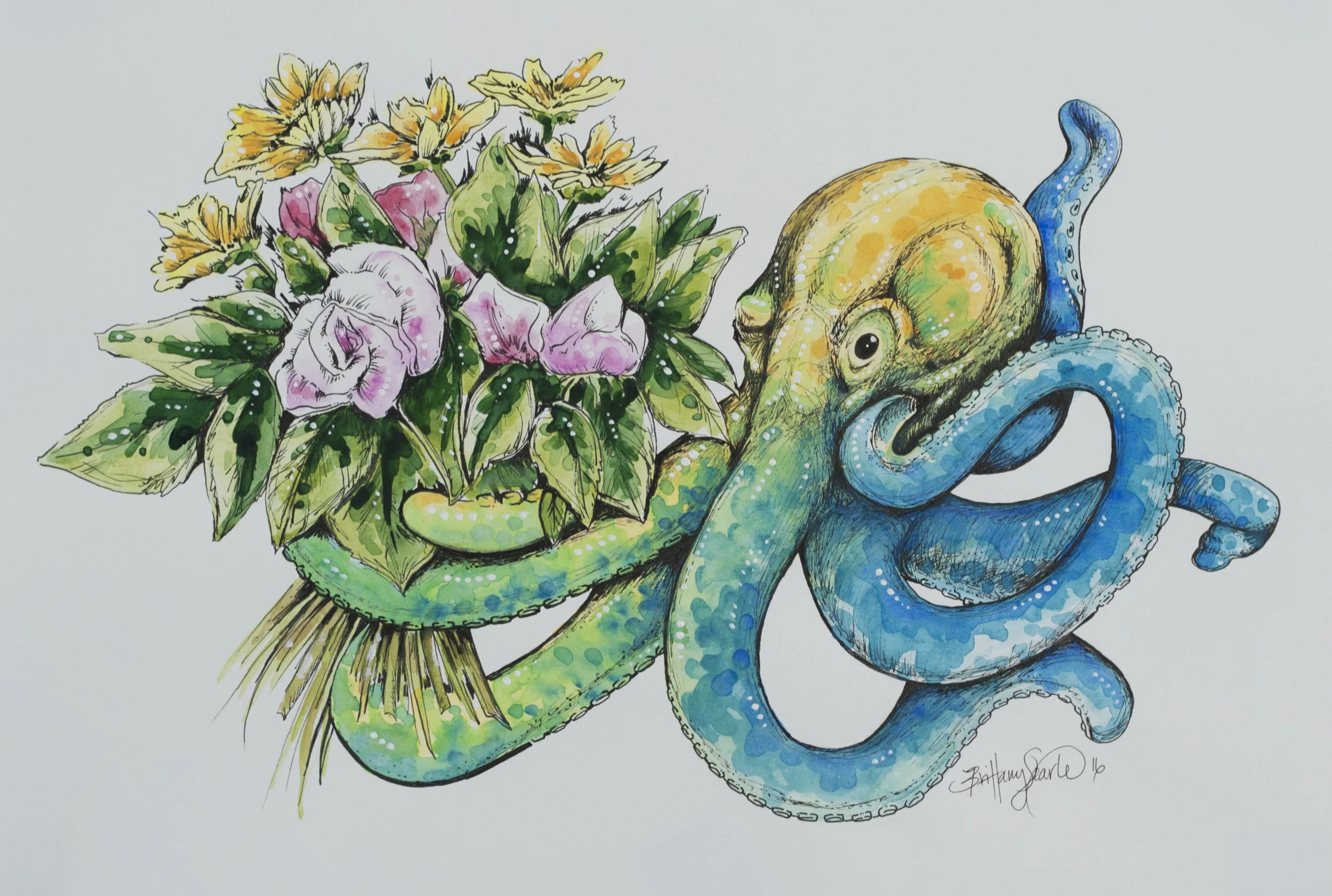 octolove.jpg