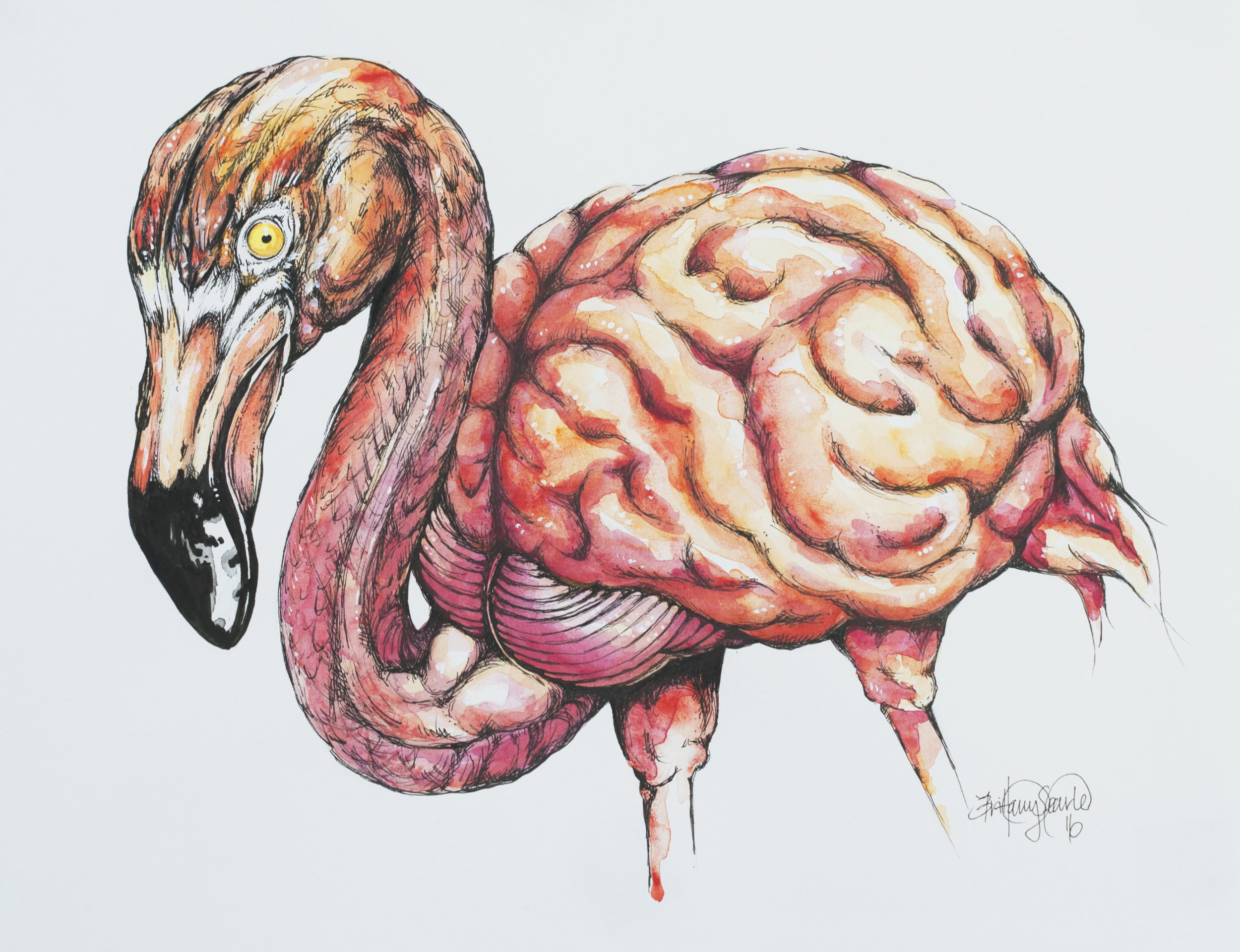 flamingo.jpg