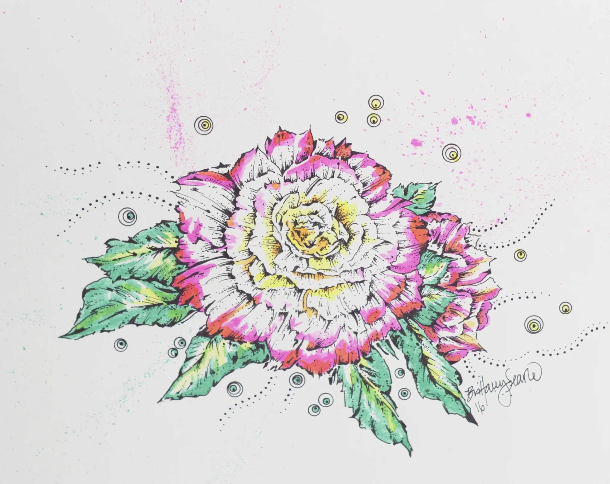 rose.jpg