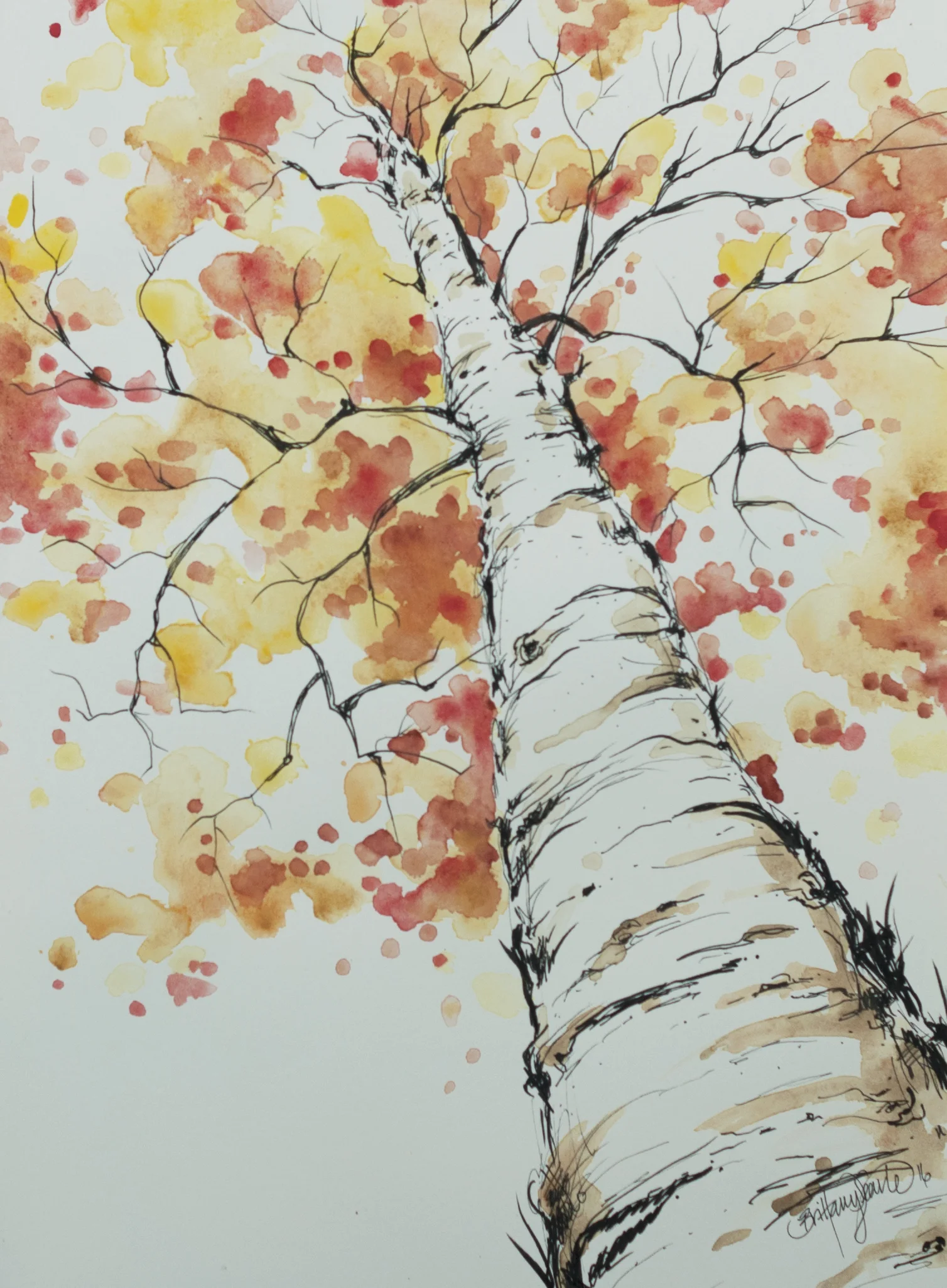 aspen.jpg