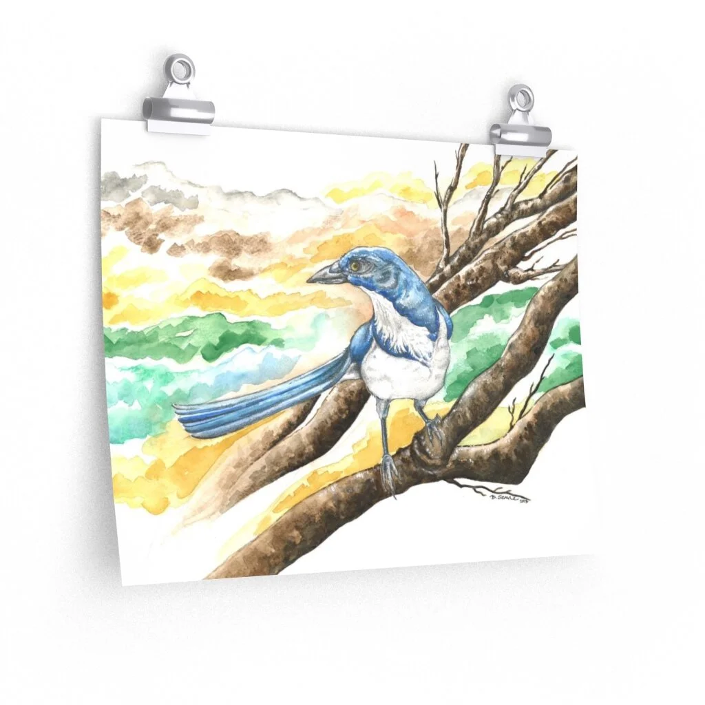 d1af90ec0ea53e9e396ccb80f486bf4e