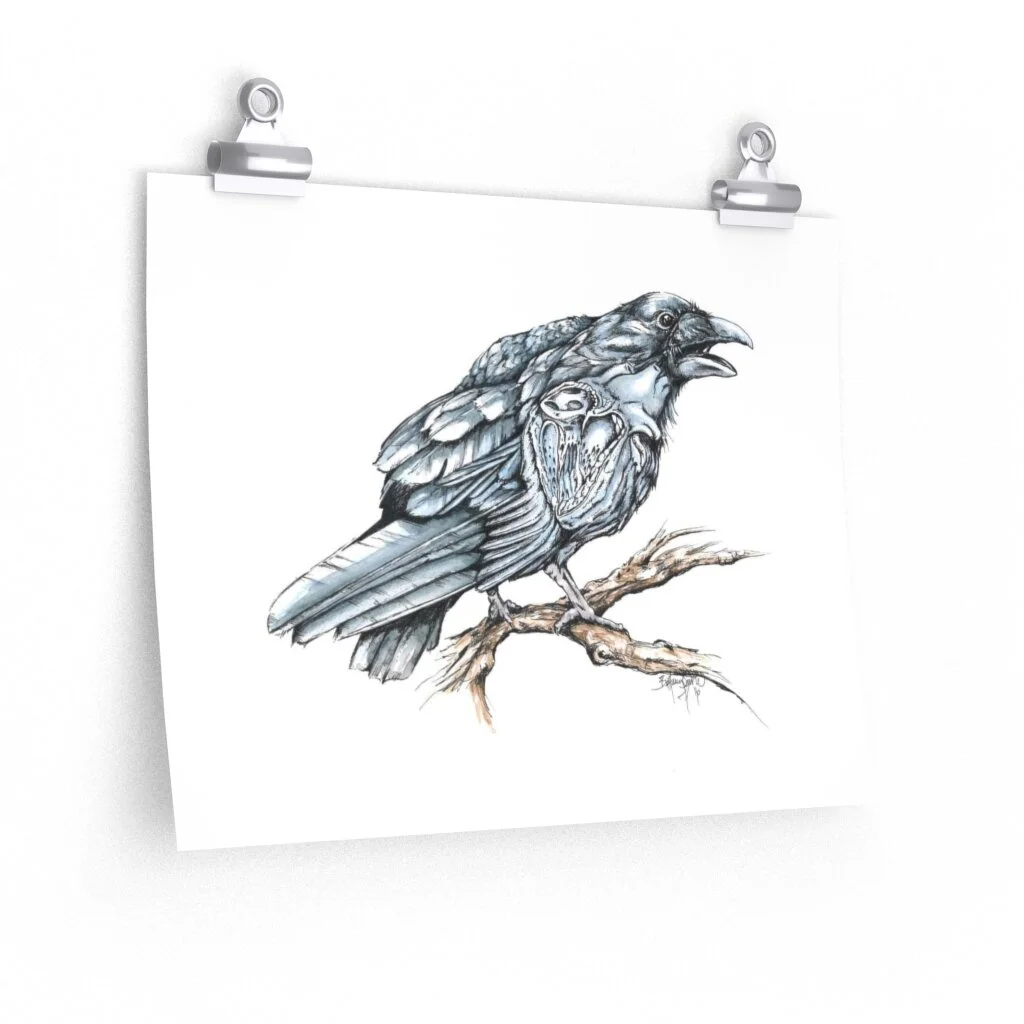 53513adbf15f2d2687b0de5a3d33d1a2