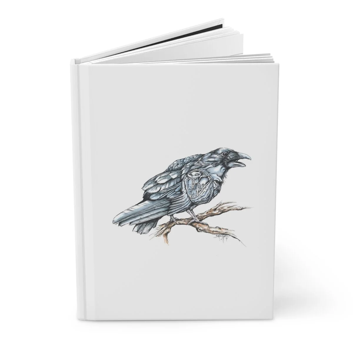 04700578ba630689a5a0908c0e183e2b