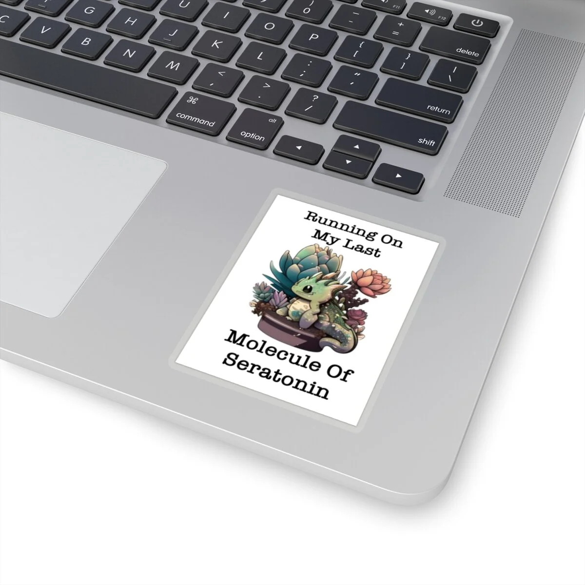 dce7b905a44966dc193b93799a4d3911