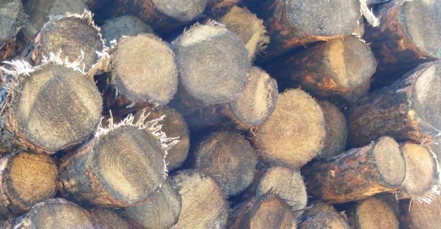 A few Word About Us Section.JPG