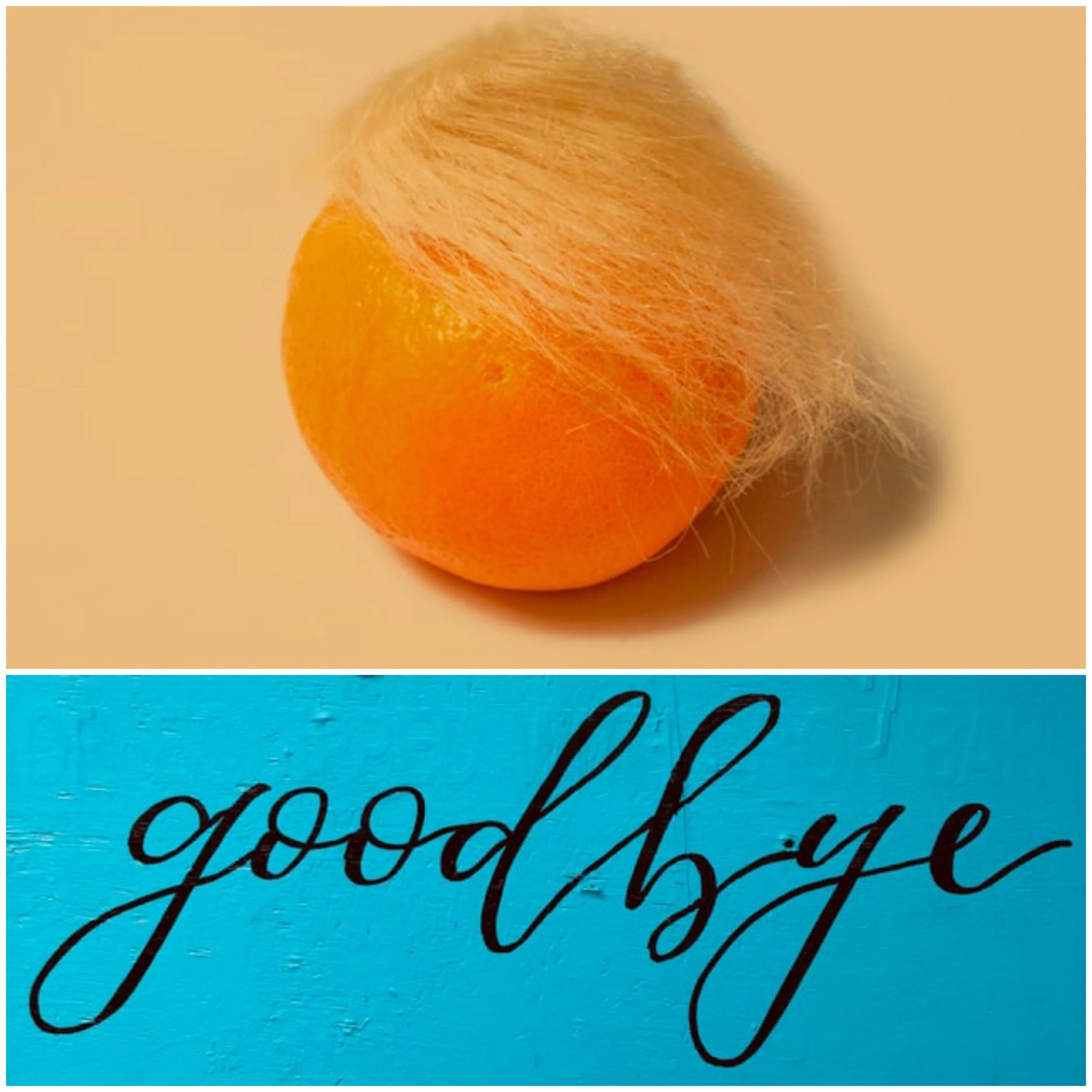 You're Fired!: The End of the Trump Error