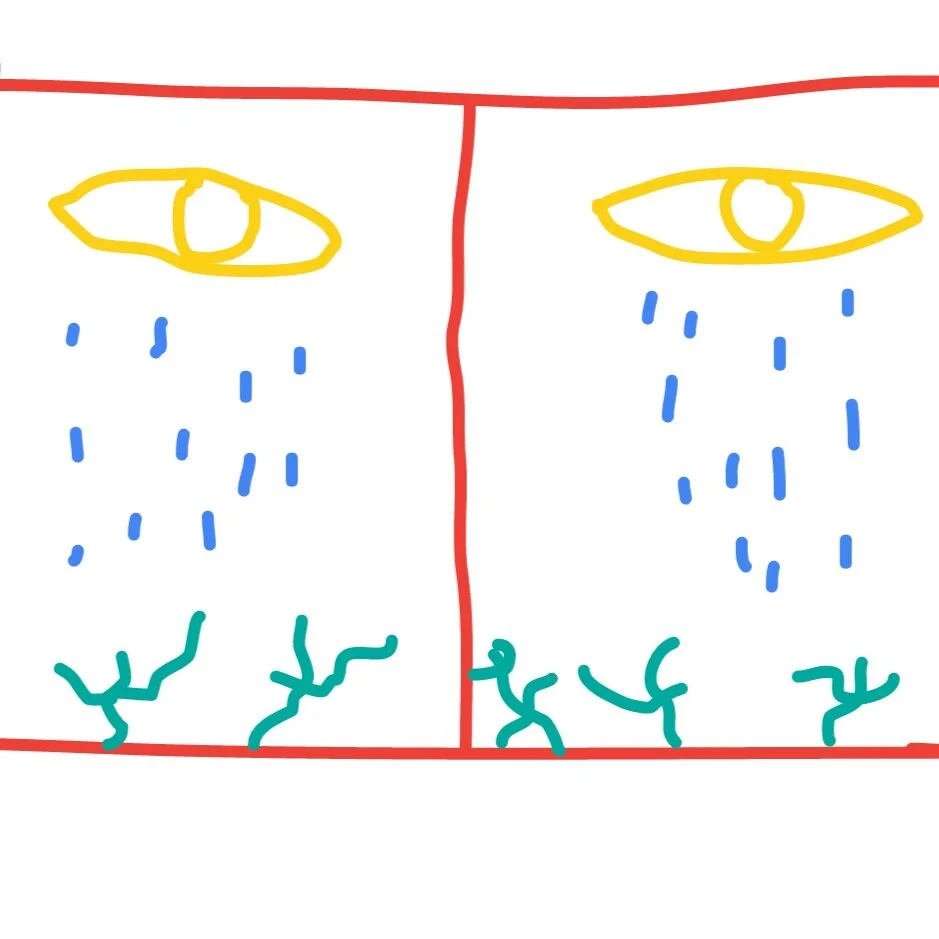 This Afternoon I Saw the Rain