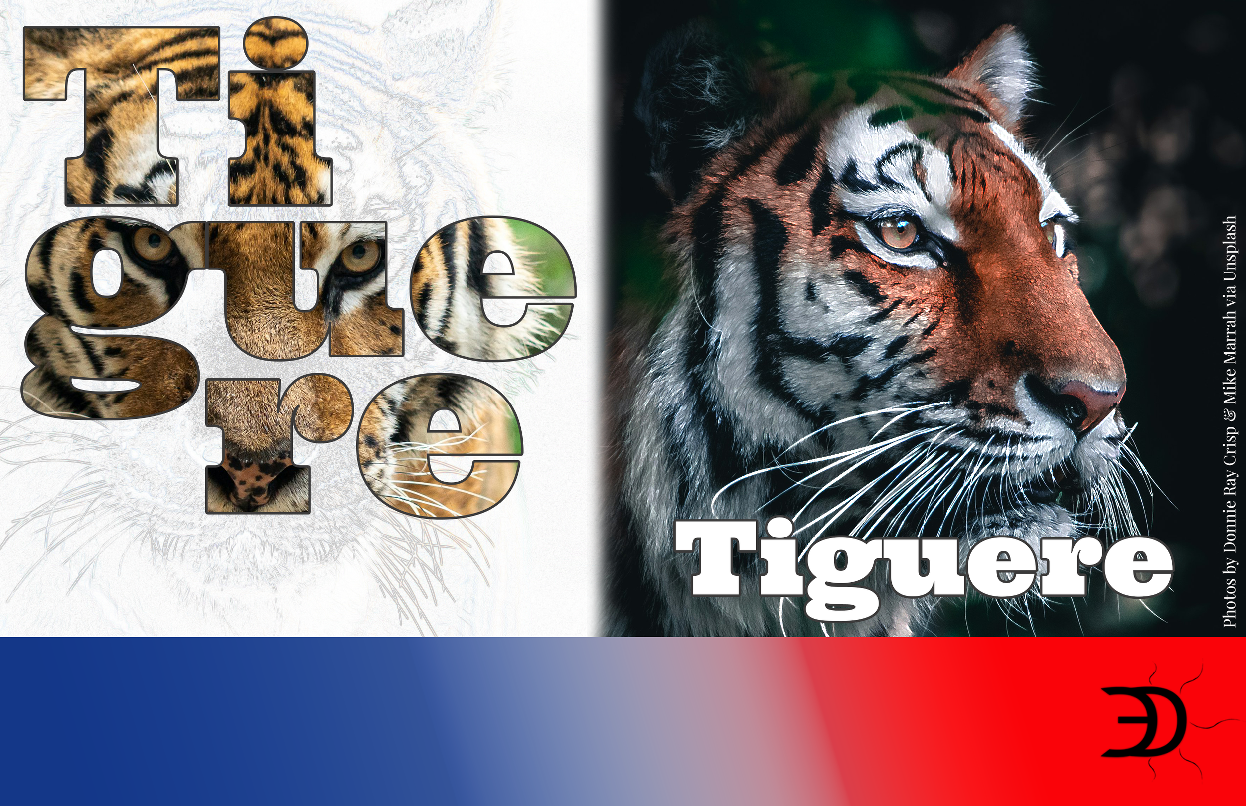 26 cosas dominicanas que explican quiénes somos: Tiguere 